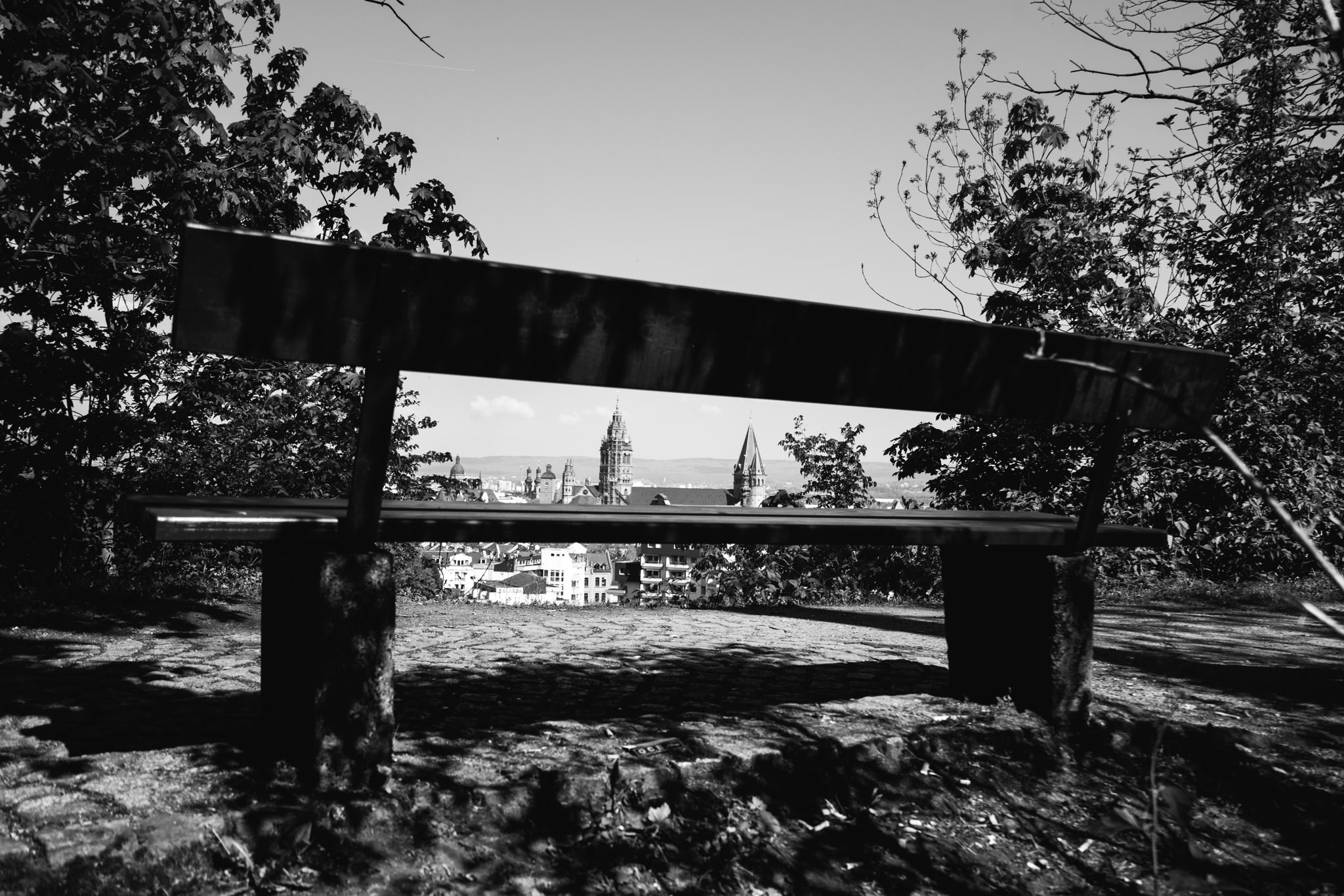 Black and white photo of a park bench overlooking Mainz Cathedral.