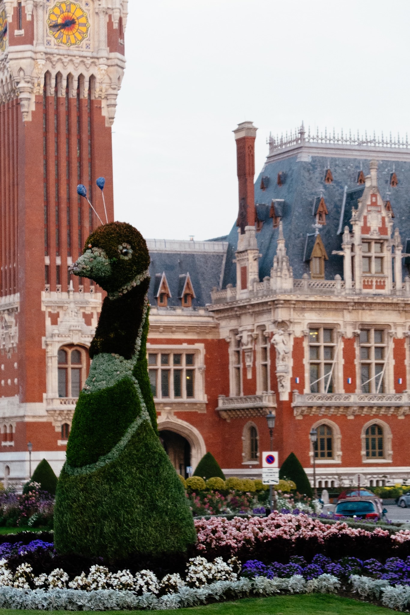 Peacock topiary in front of Calais town hall.