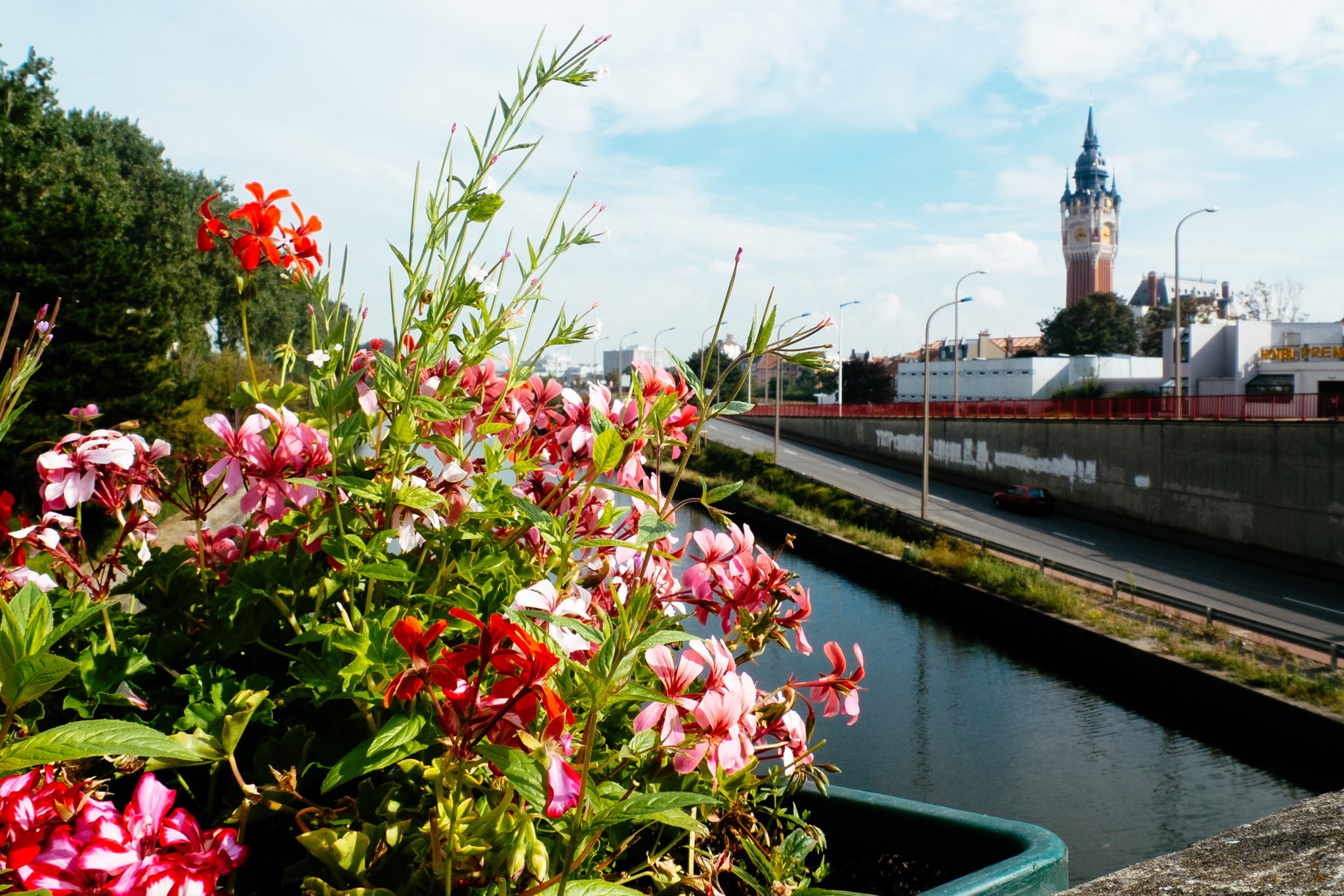 Pink and red flowers in a planter, with a canal and a distant clock tower in the background.