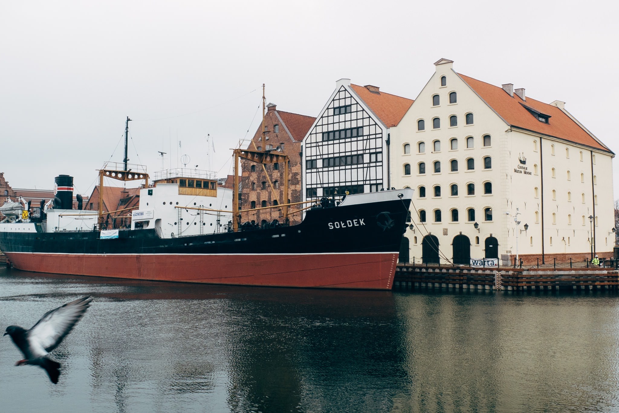 The Soldek ship docked in Gdansk, Poland, next to historic buildings.