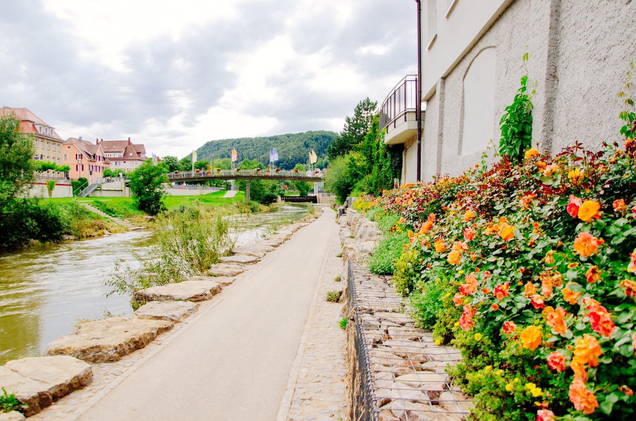 Path along the Neckar River in Germany, with flowers and buildings in the background.