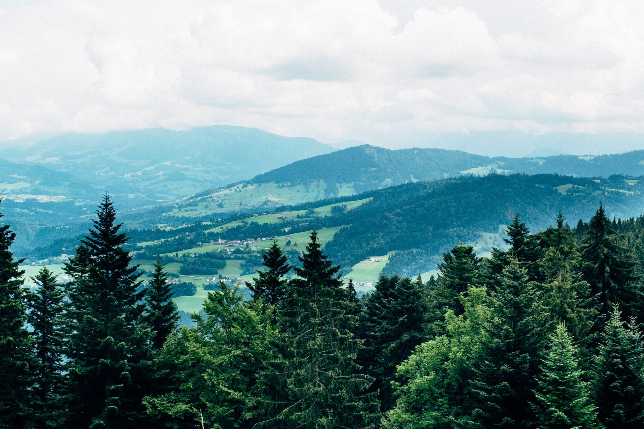 Austrian mountain range with evergreen trees in the foreground and a small village in the distance.