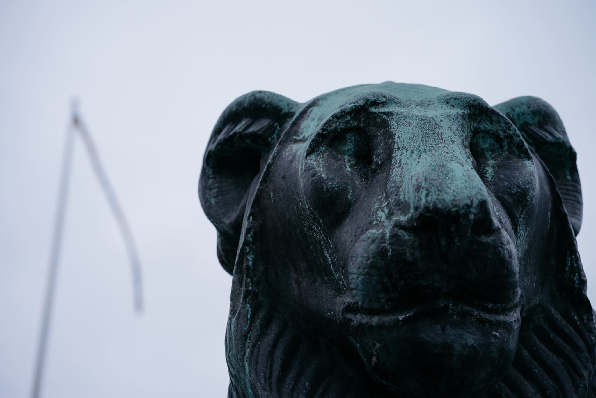 Close-up of a weathered bronze lion statue.