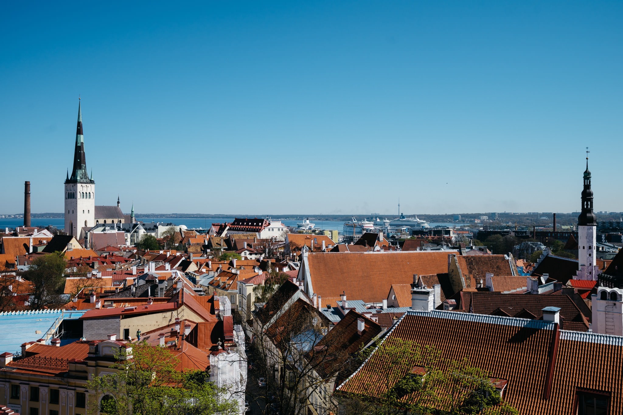 Panoramic view of Tallinn, Estonia, featuring red rooftops, church steeples, and a body of water in the distance.
