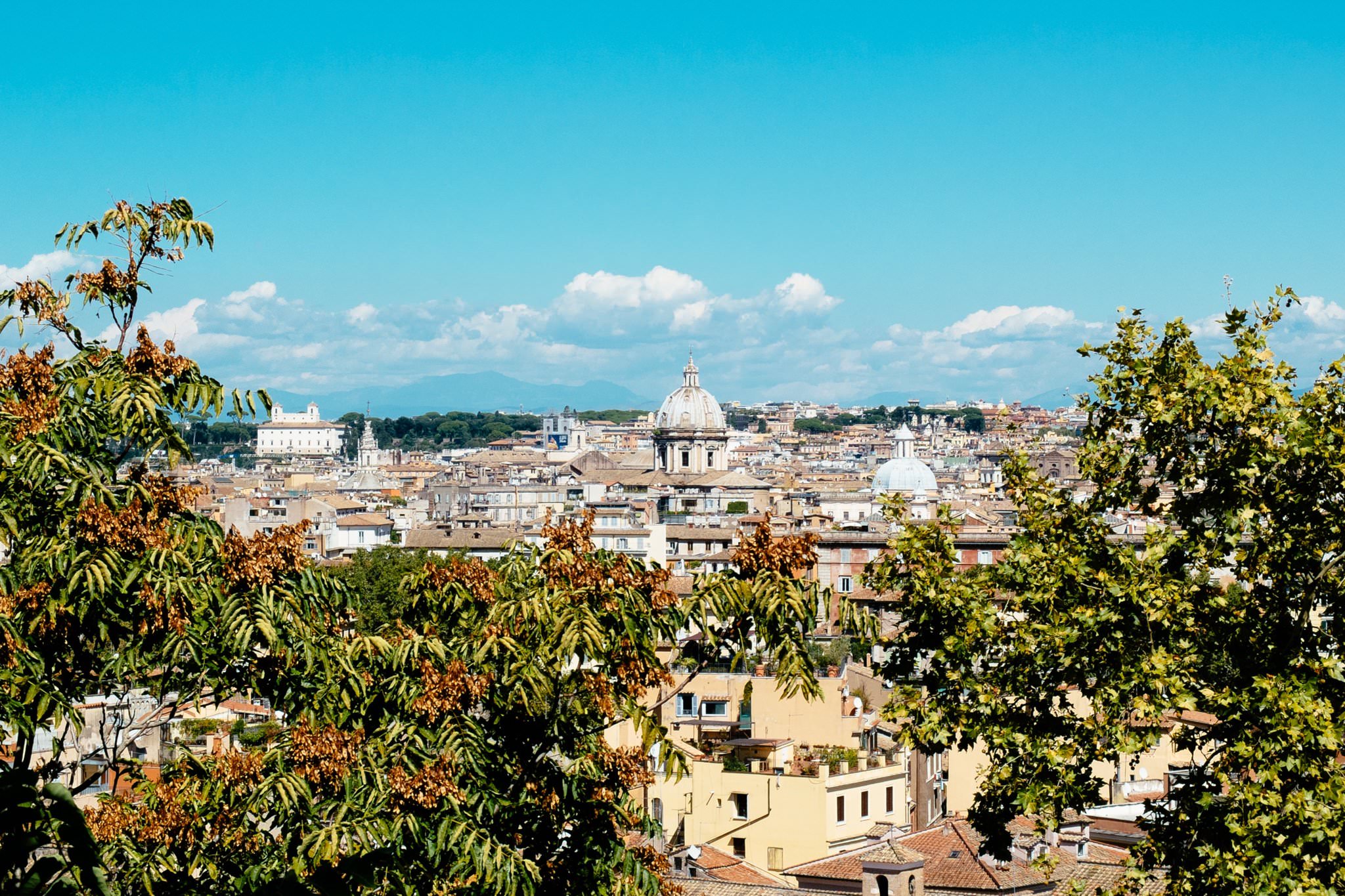 Rome cityscape viewed from above, partially obscured by trees.