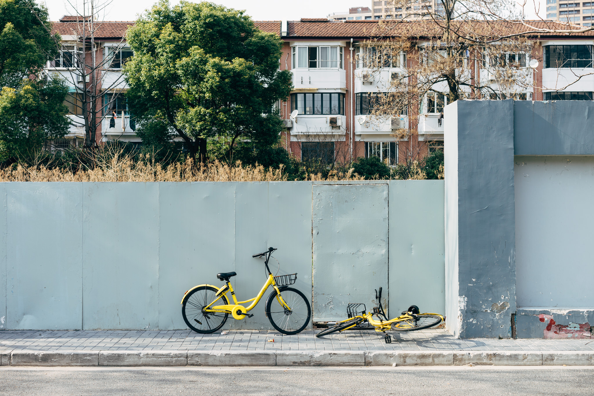 Two yellow shared bicycles, one upright and one fallen, against a wall in Shanghai, China.