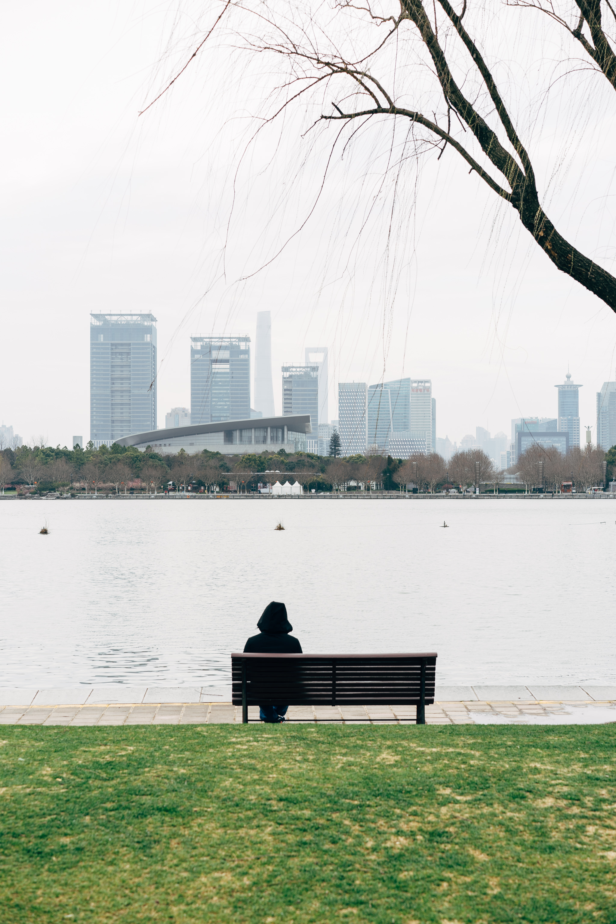 Person sitting on bench overlooking Shanghai skyline.