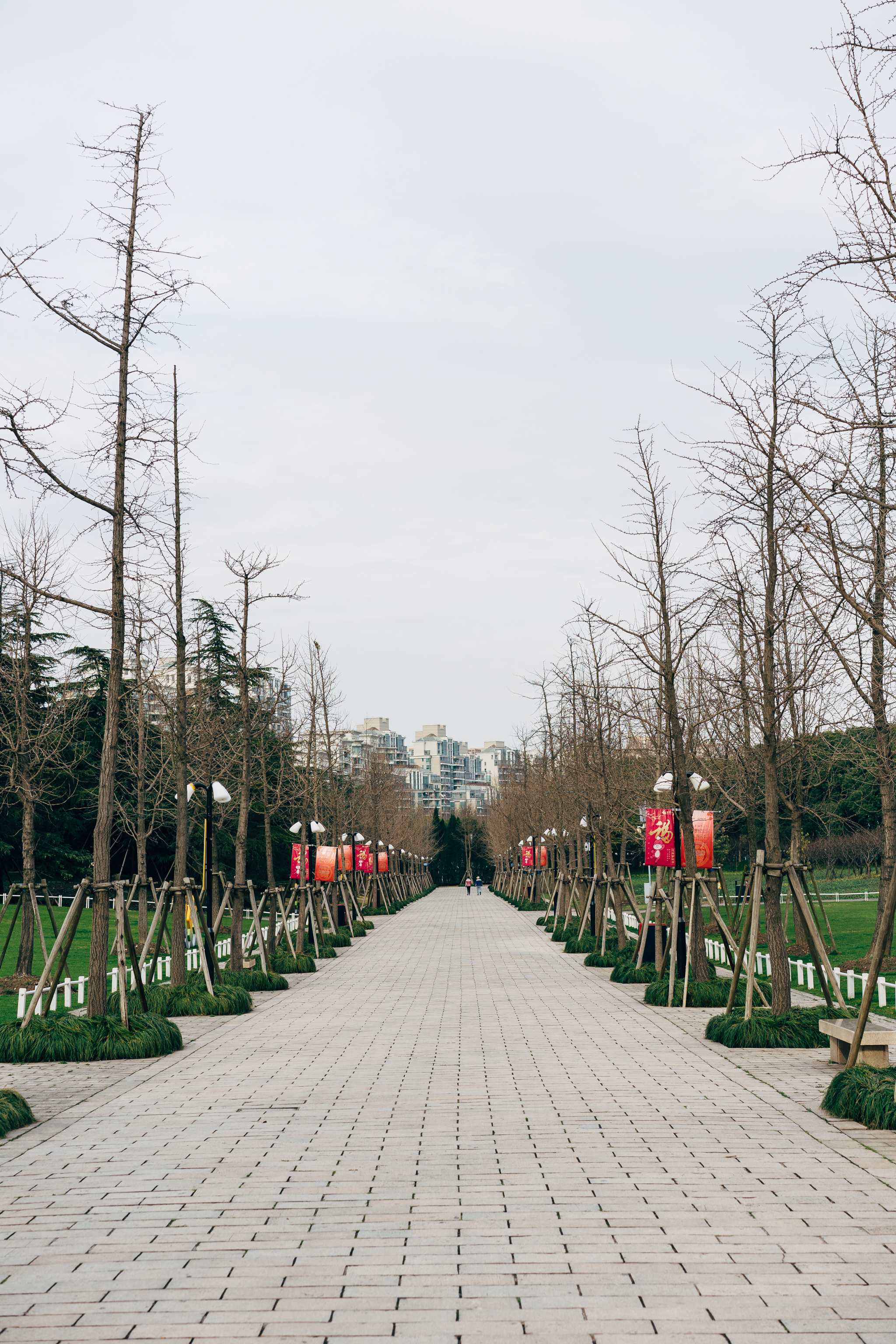 Brick pathway lined with bare trees and red banners in Century Park, Shanghai.