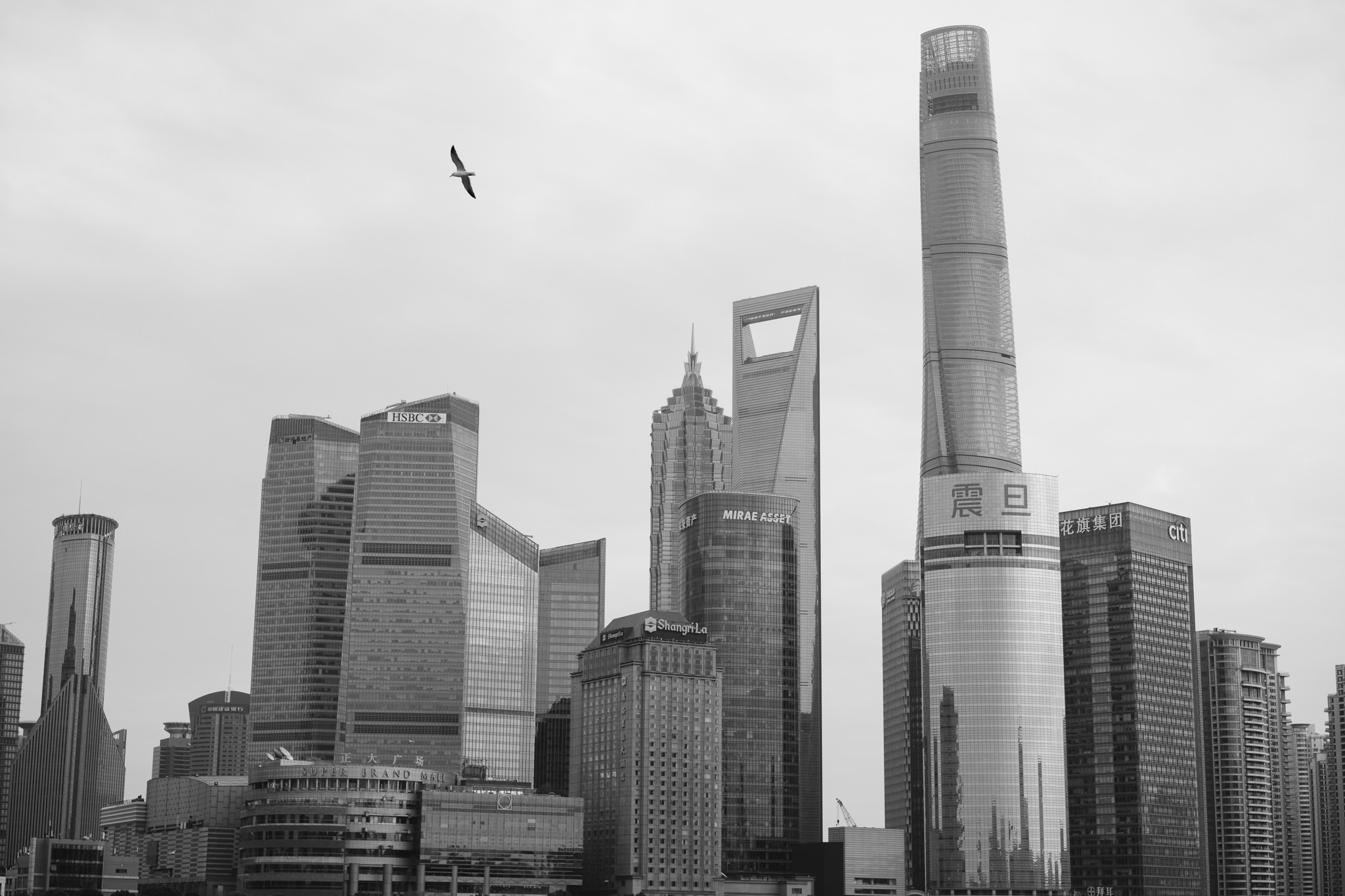 Shanghai skyline in black and white.