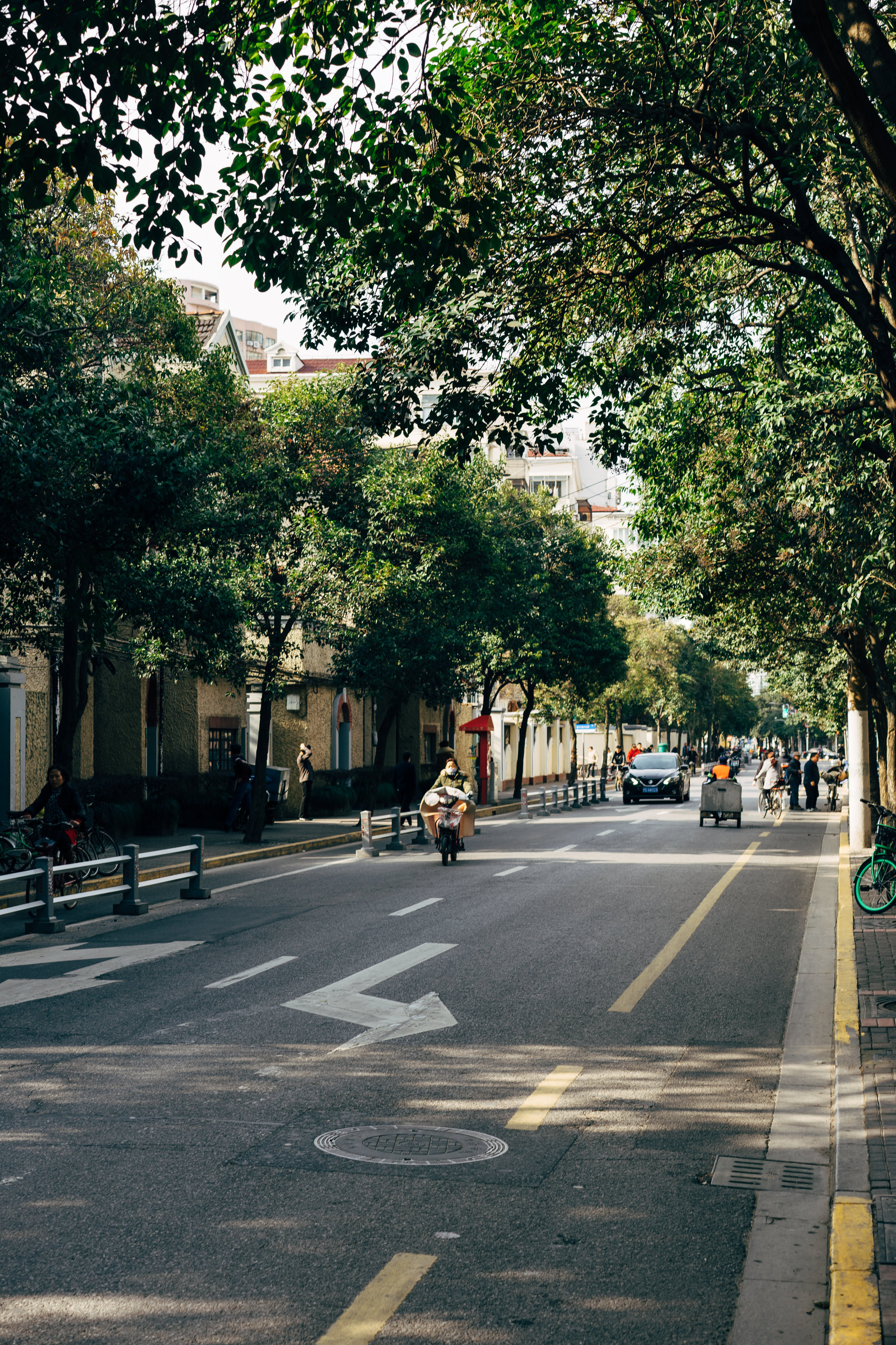 Shanghai street scene: person on motorized cart, cars, cyclists, and leafy trees lining the road.