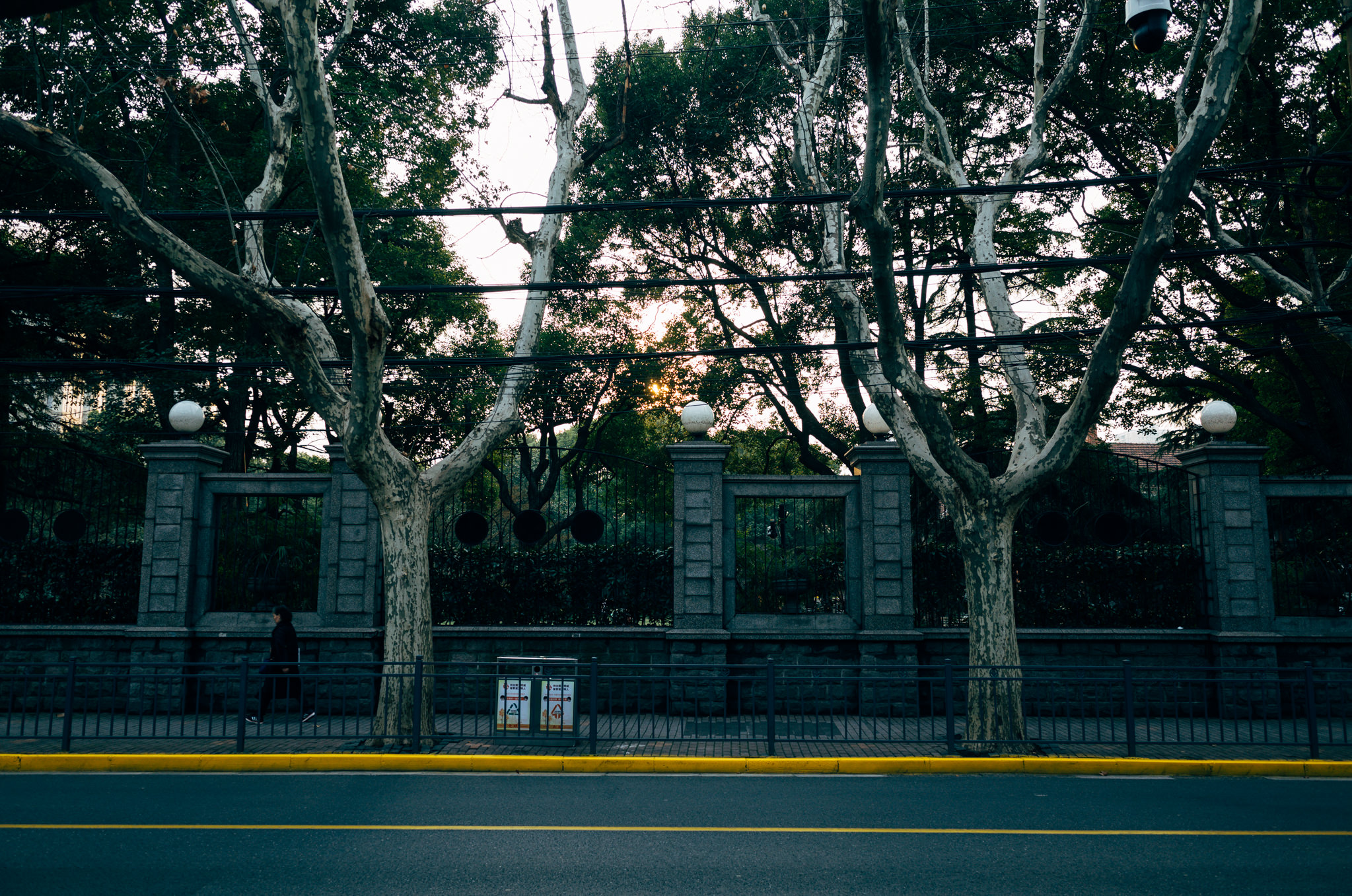 Shanghai sunset: person walking past stone fence and trees.