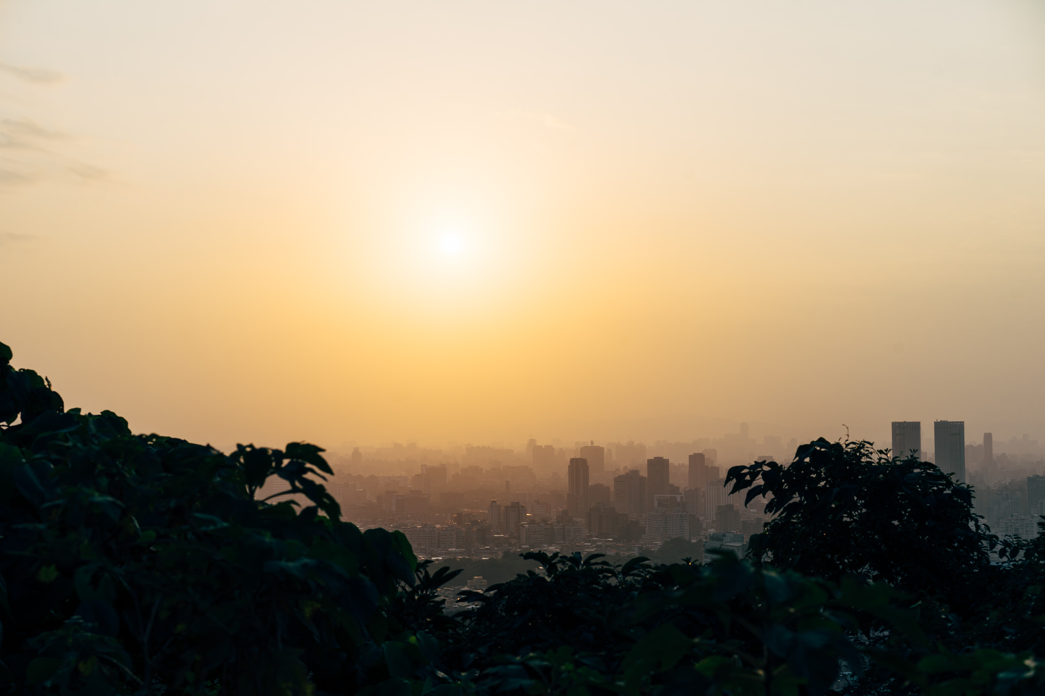 Sunset over hazy Taipei cityscape viewed from foliage.