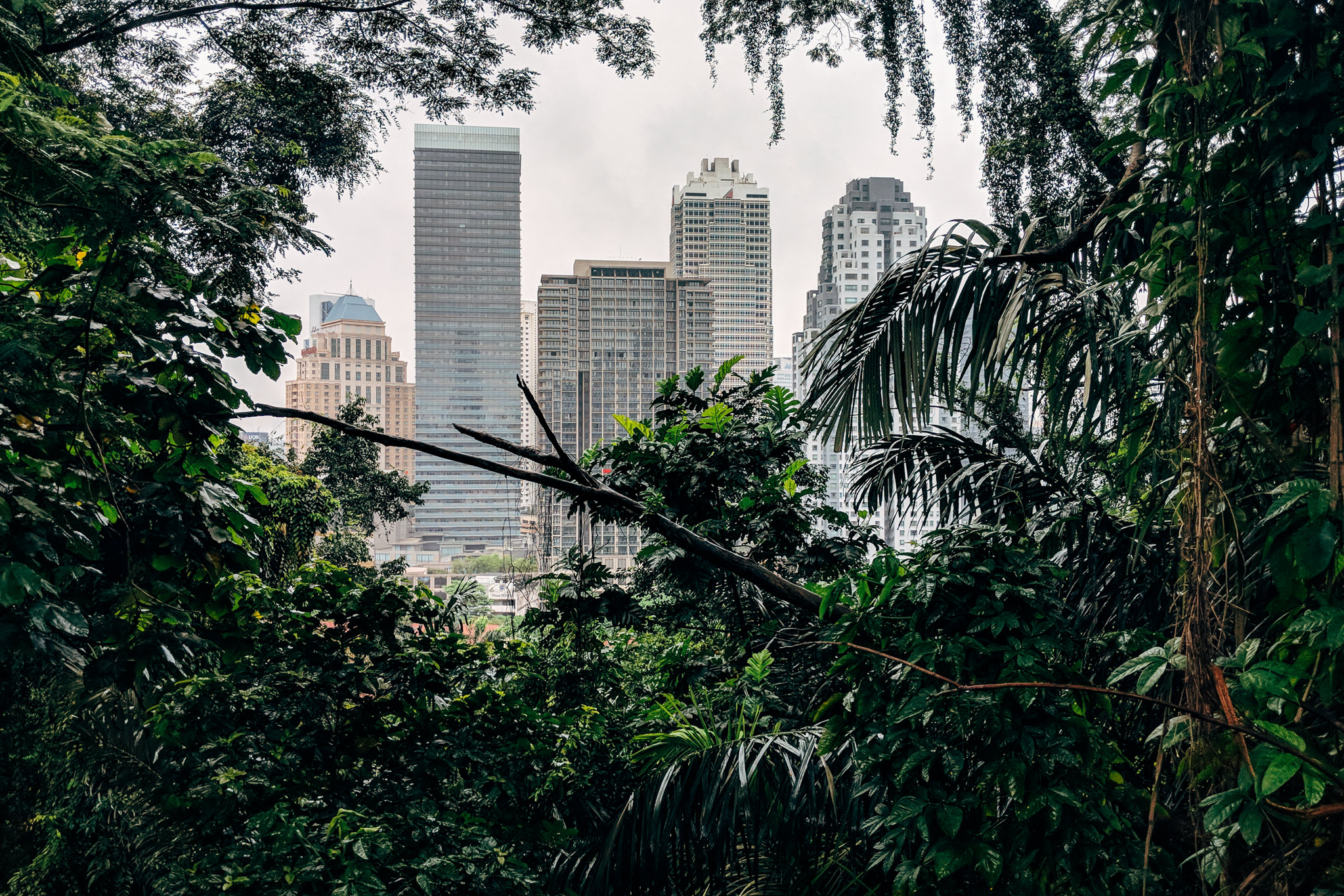 City skyline partially obscured by lush green foliage.