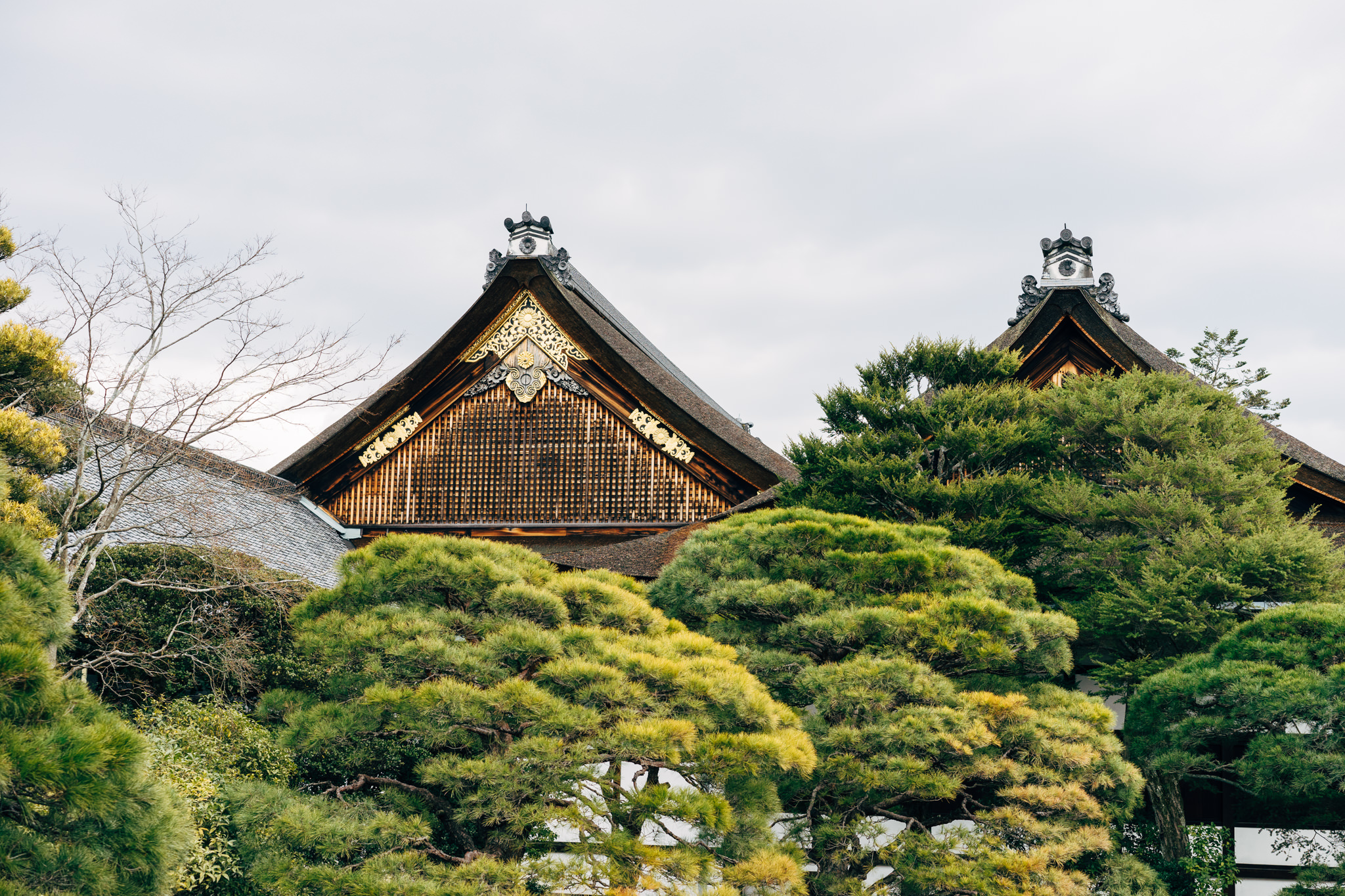 Kyoto Gosho palace rooftops and lush green trees.