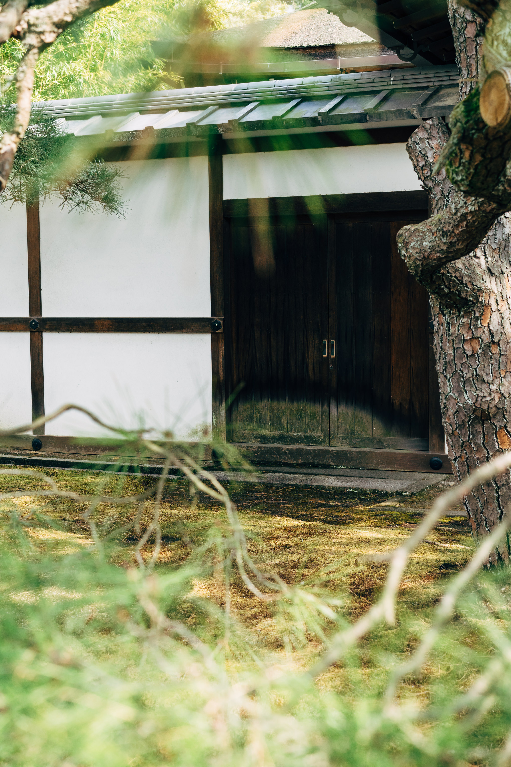 Kyoto Imperial Palace exterior wall and dark wooden door partially obscured by tree branches.