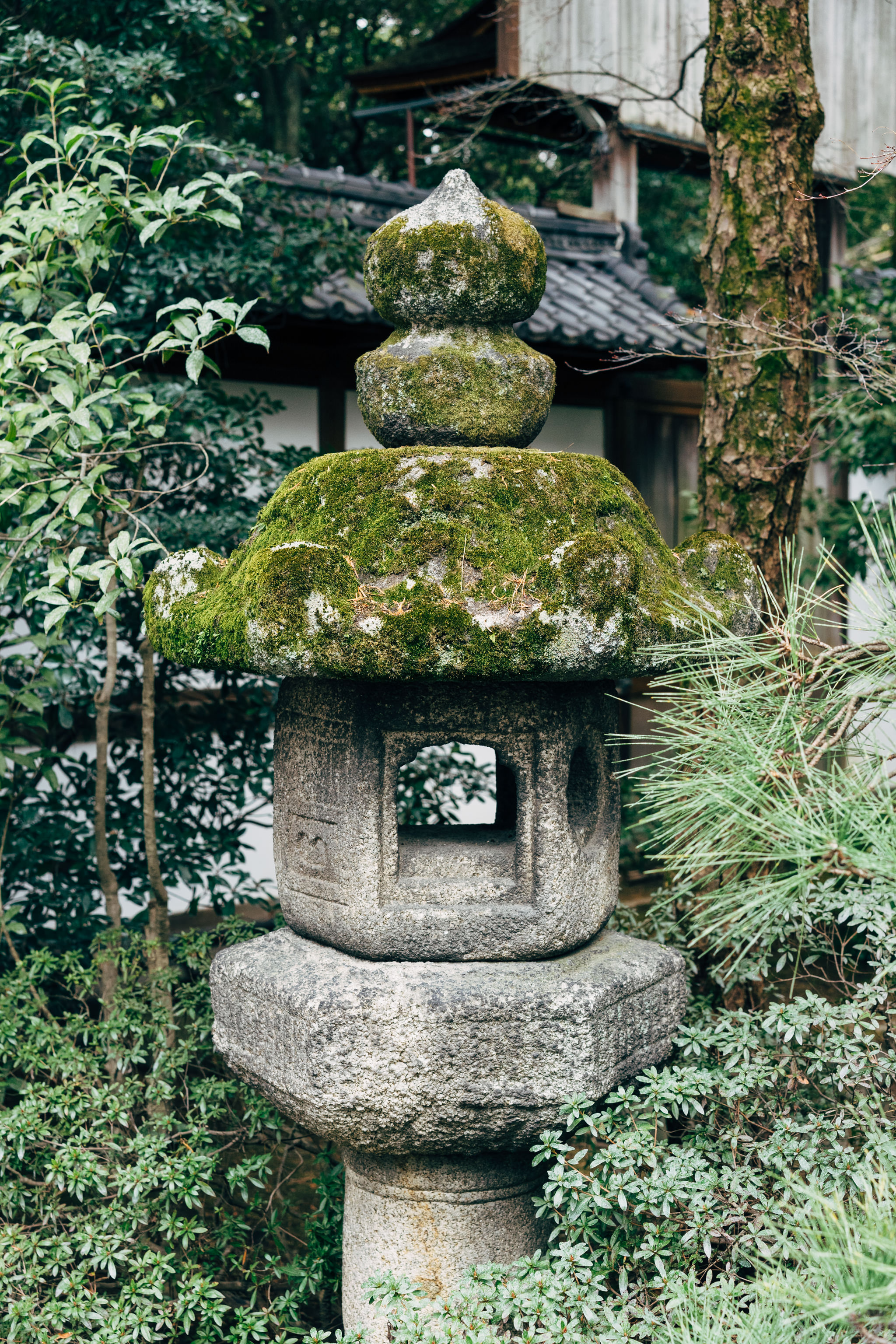 Moss-covered stone lantern in a Kyoto garden.