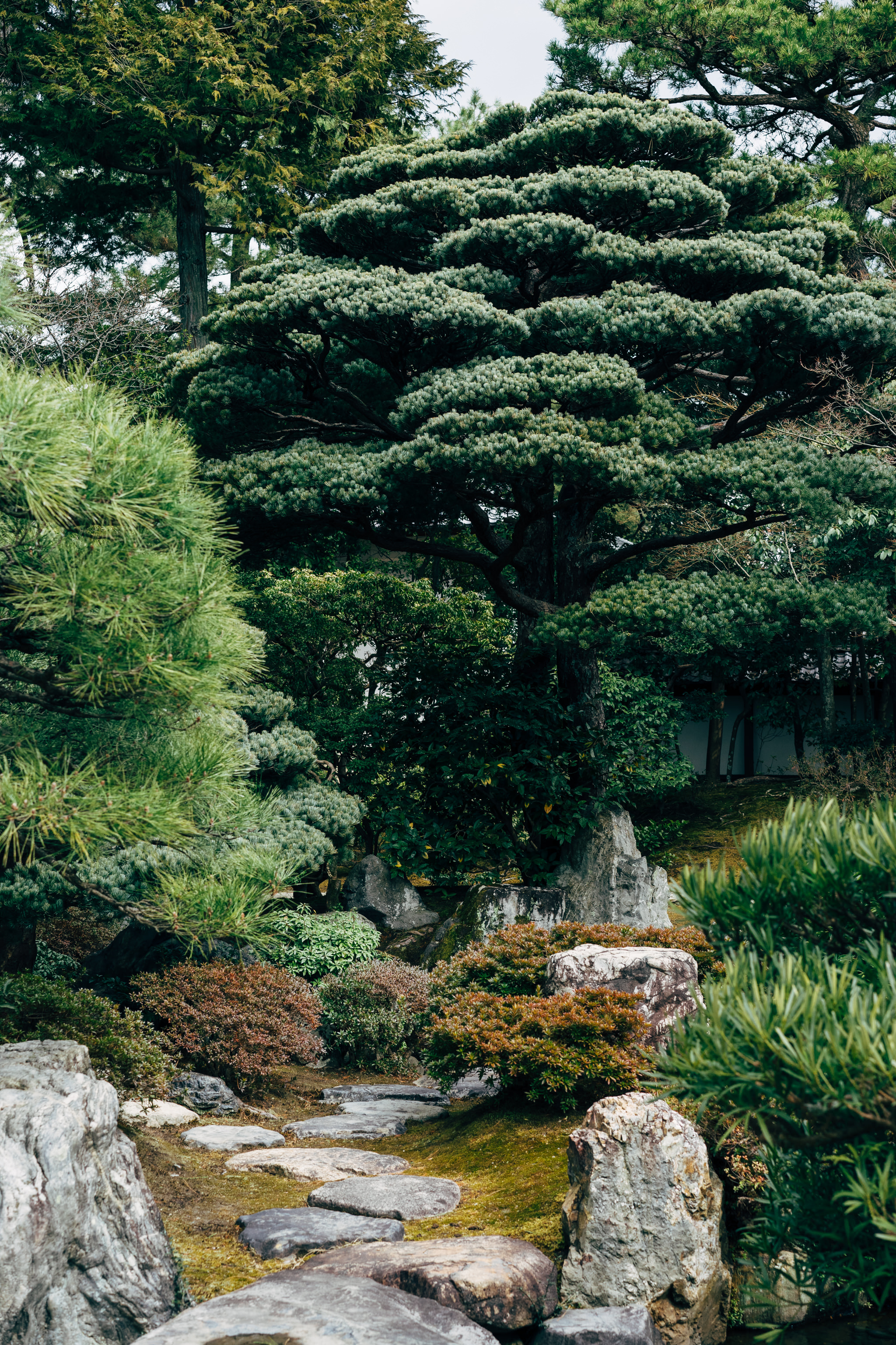 Stone pathway winding through a Japanese garden with lush greenery and large rocks.