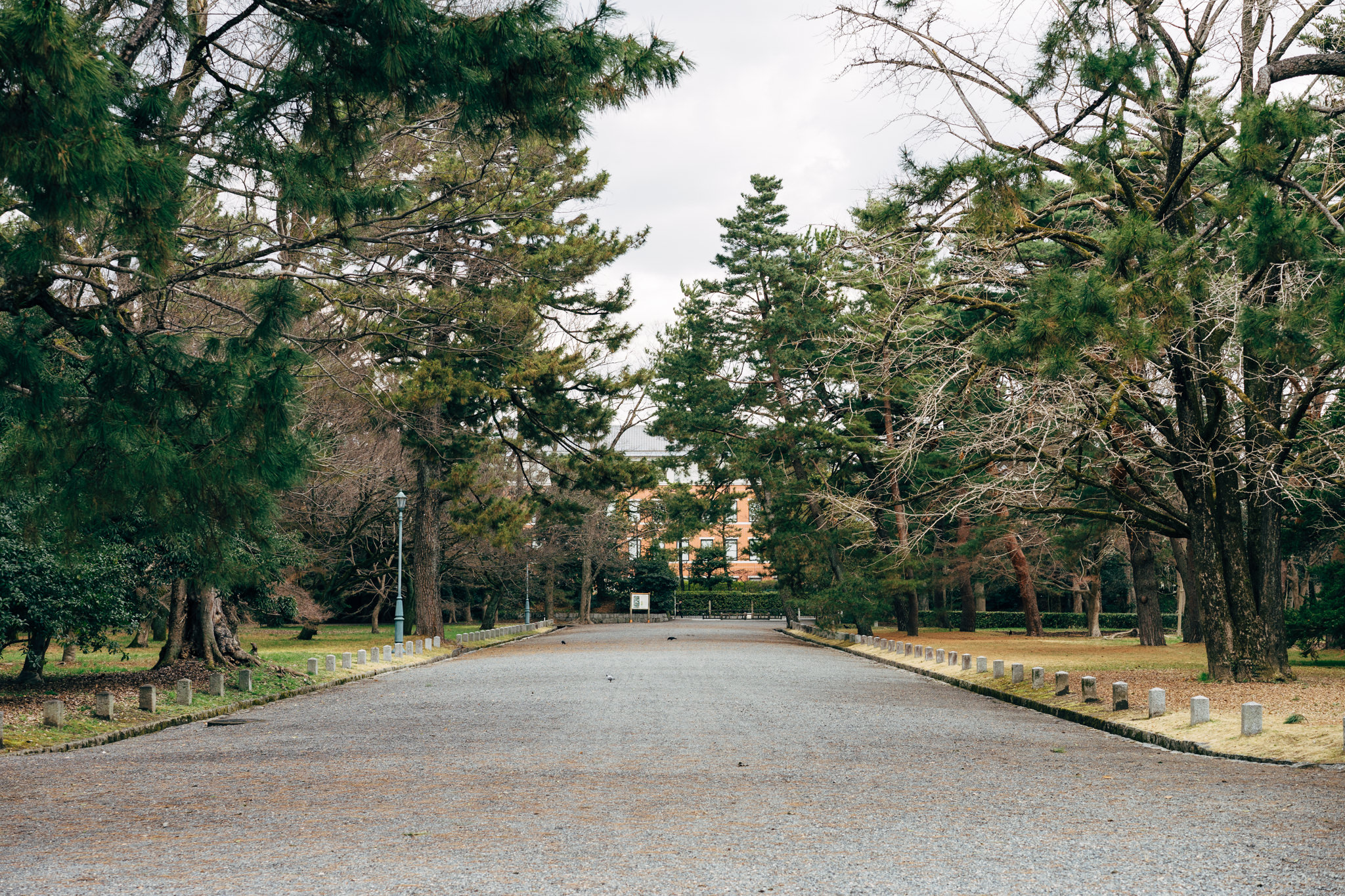 Gravel pathway in Kyoto Imperial Palace Park lined with trees.