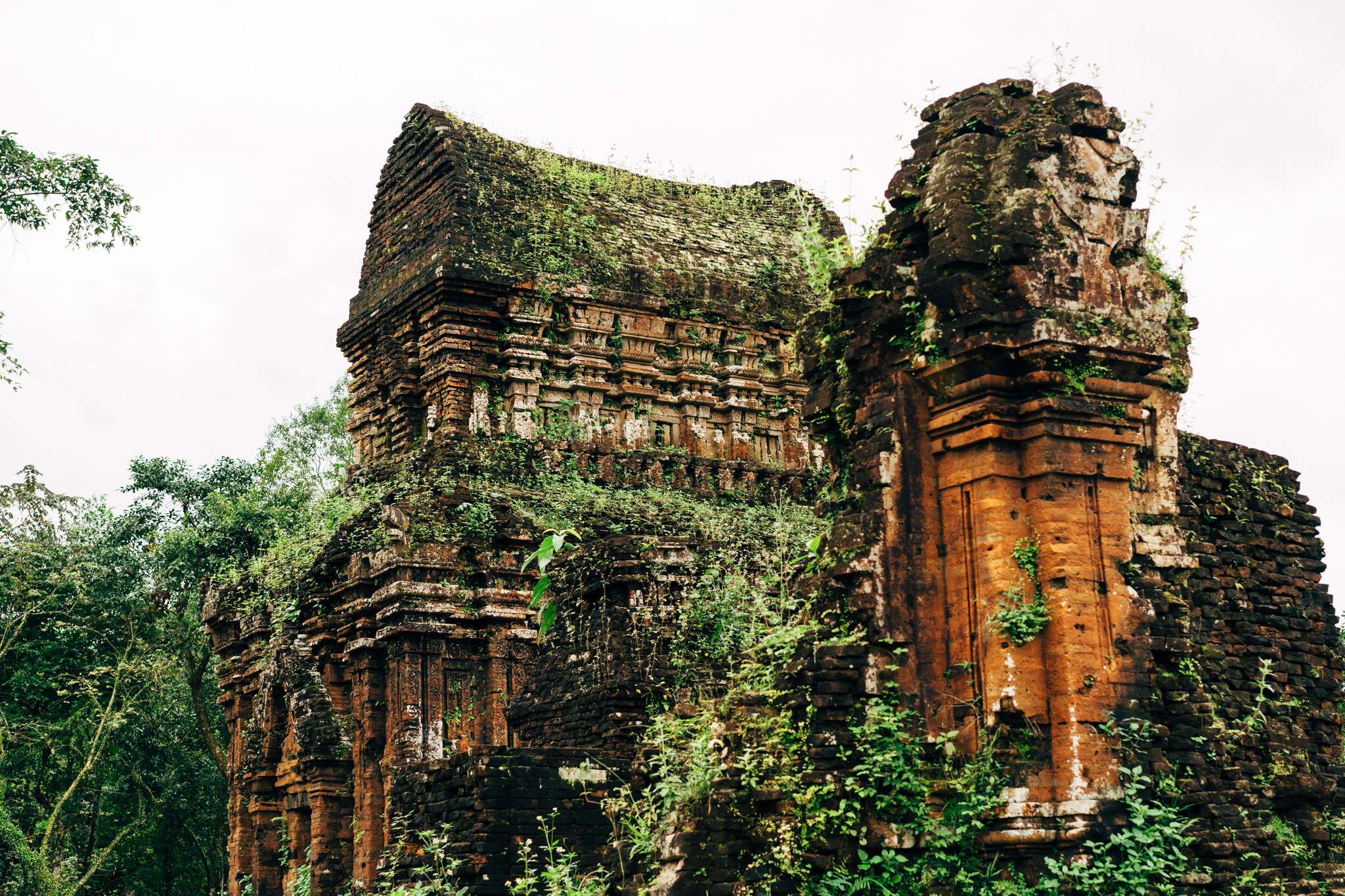 Overgrown ruins of a brick temple in Vietnam.