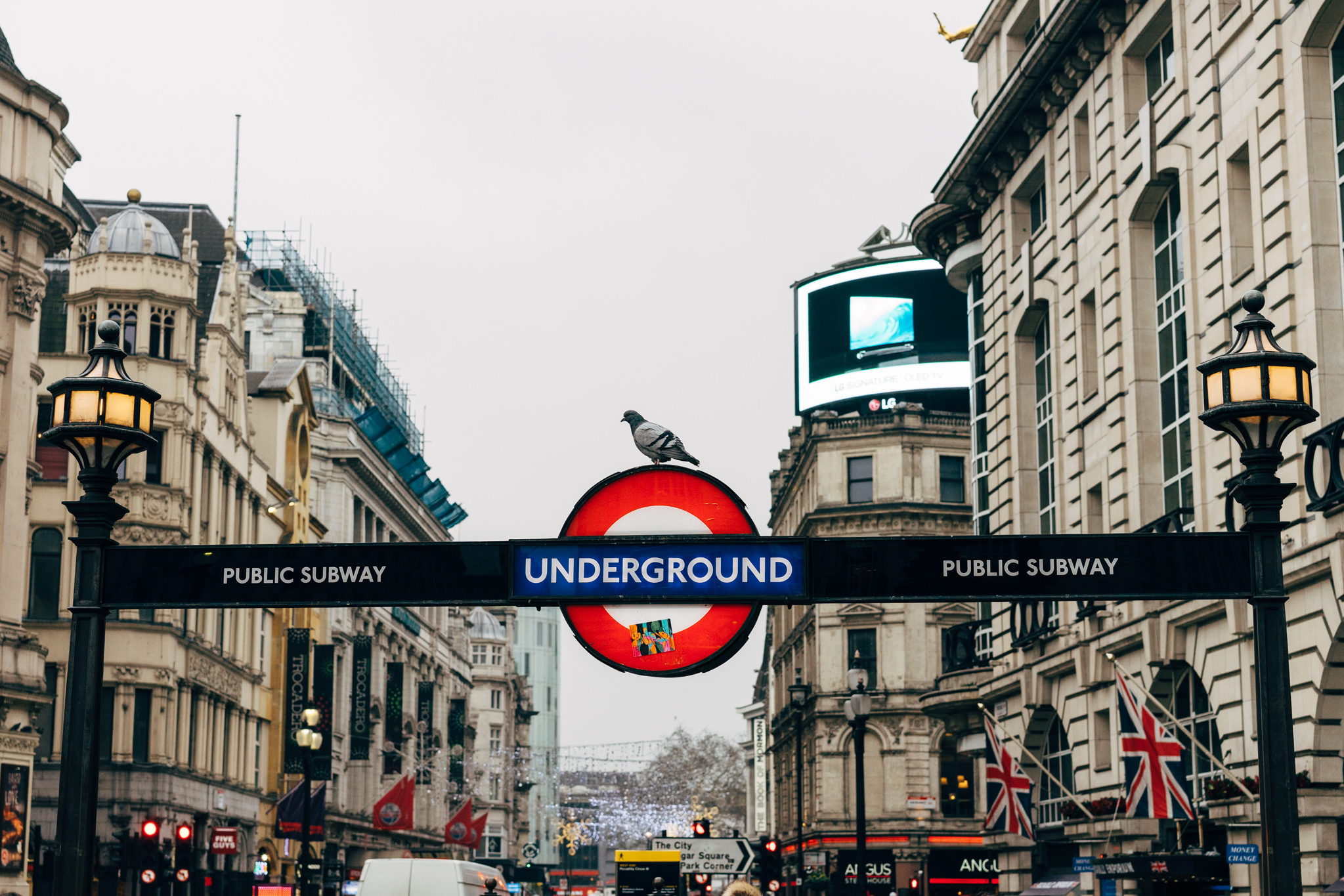 London Underground sign with a pigeon perched on top, situated between buildings.