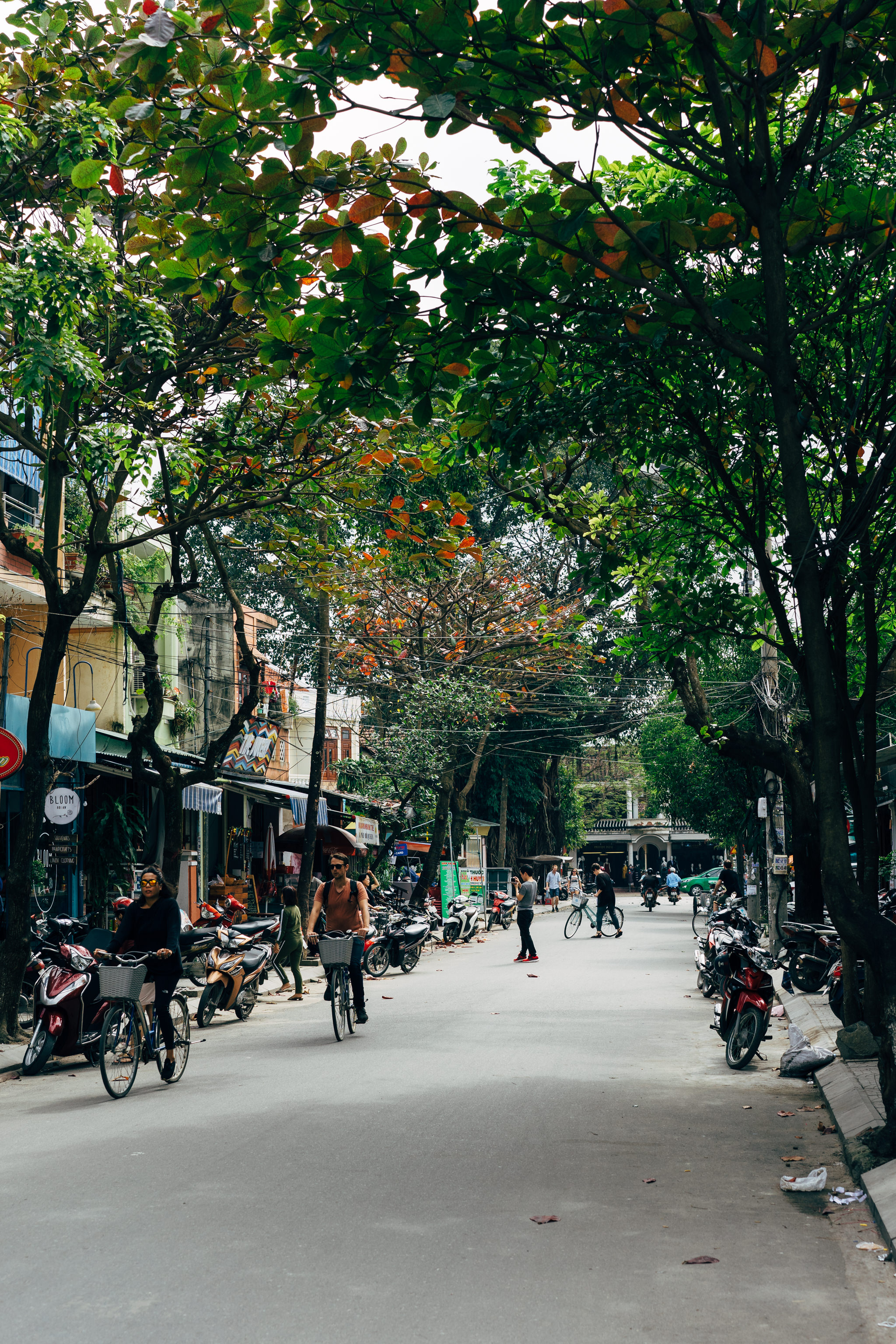 Hoi An street scene with people on bicycles and motorbikes under leafy trees.