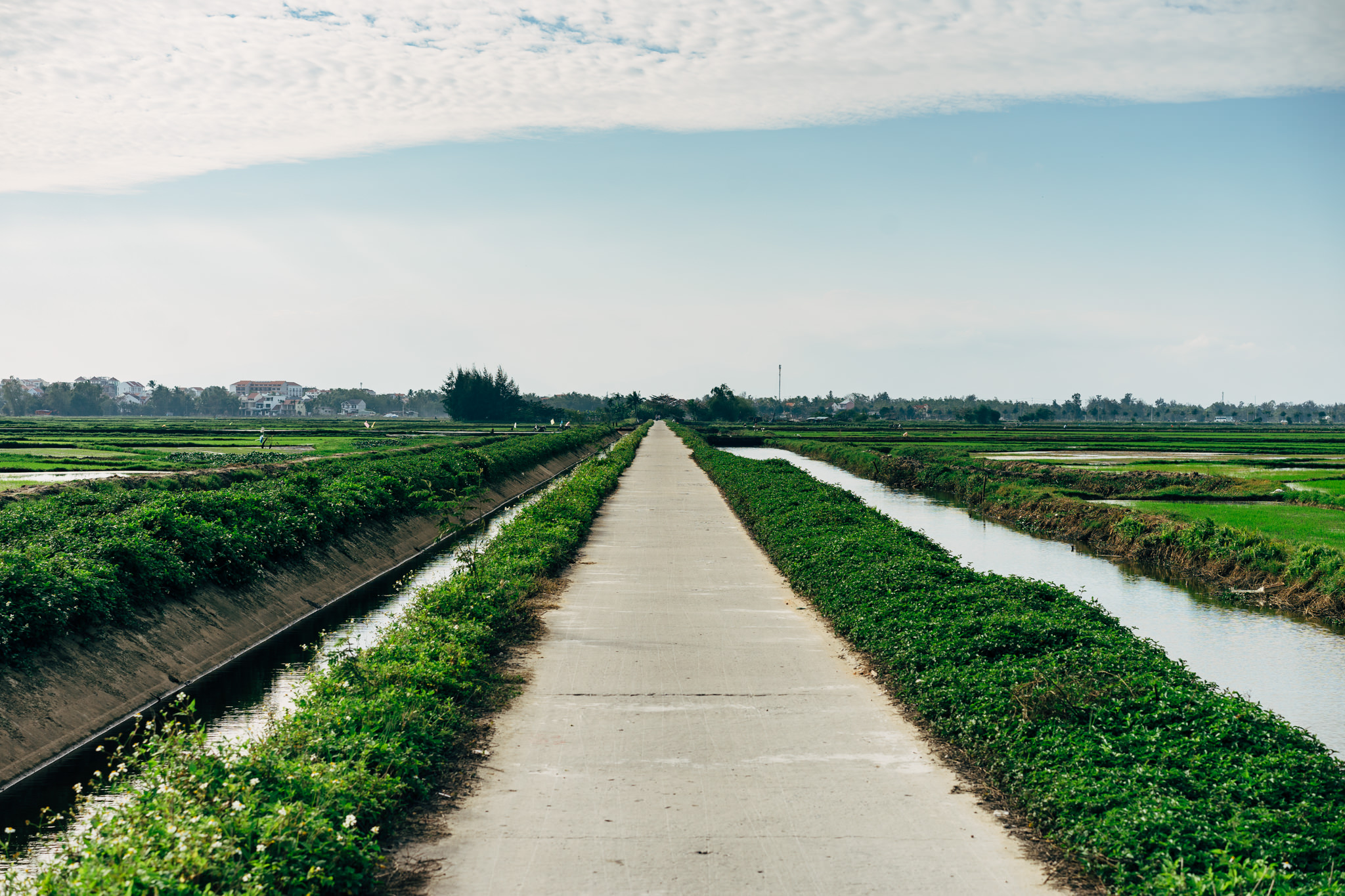 Long paved road between irrigation canals lined with green vegetation in Vietnam.