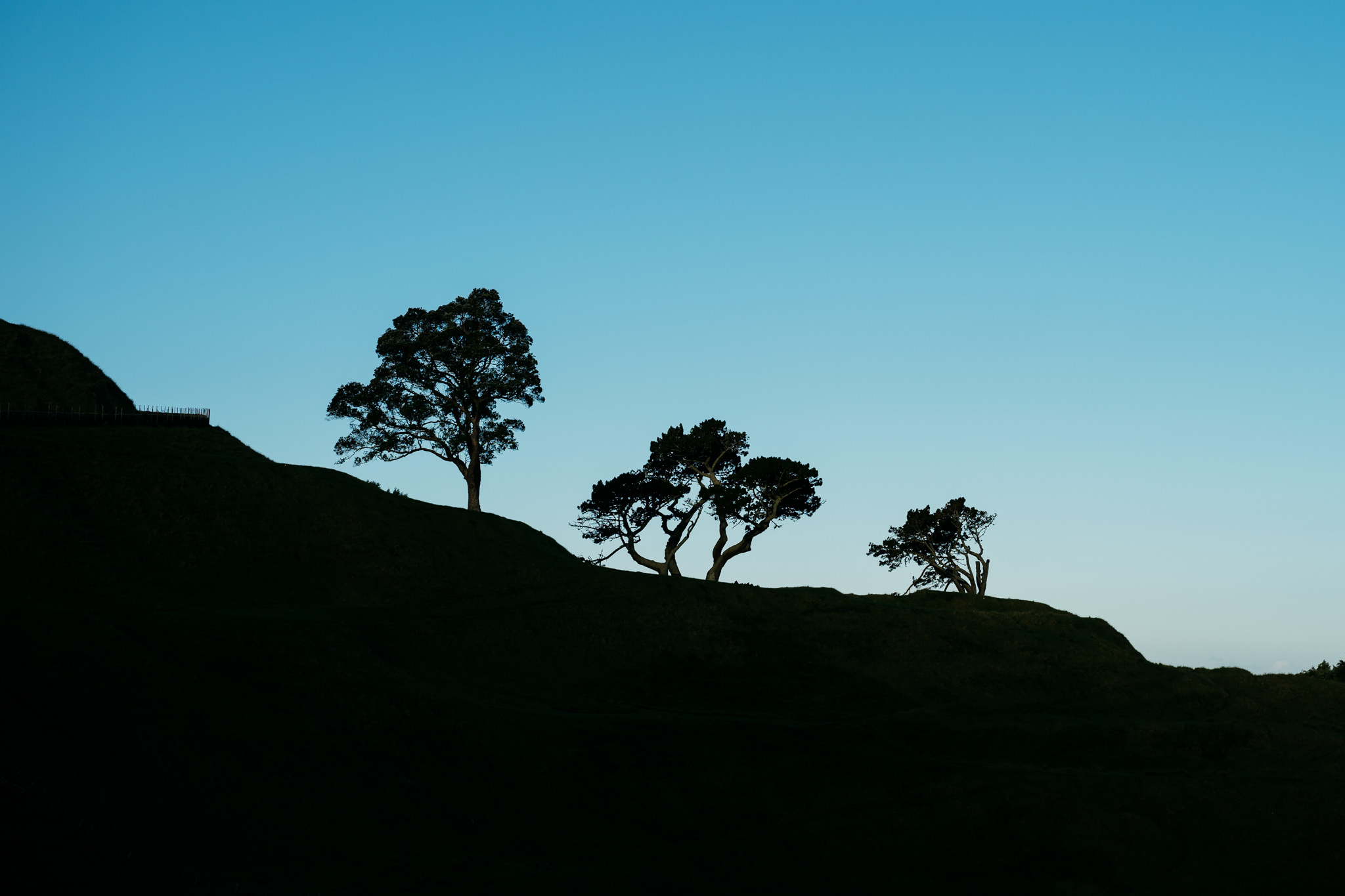 Silhouetted trees on a hill against a clear blue sky.