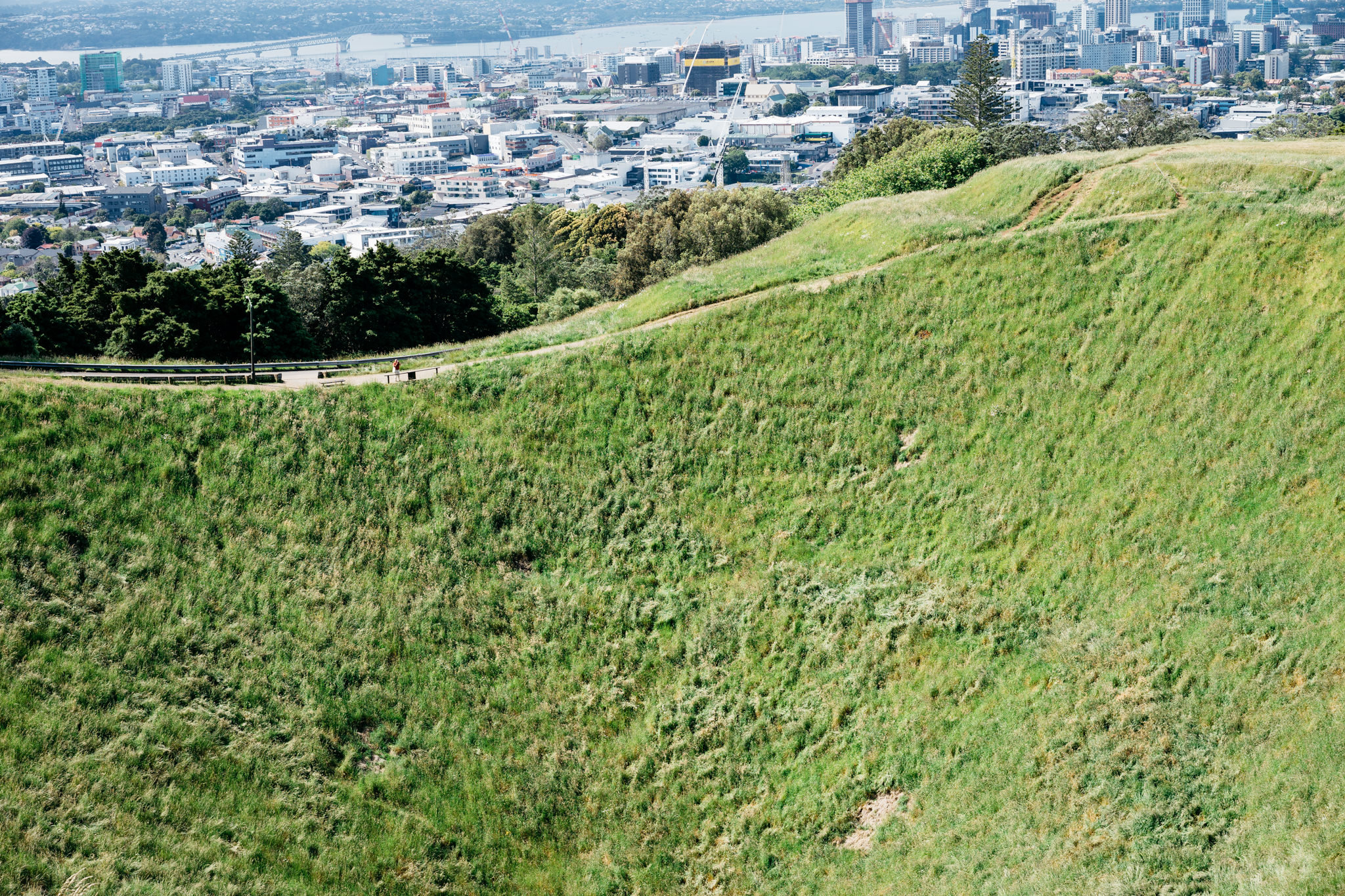 Auckland city skyline viewed from a grassy hillside.