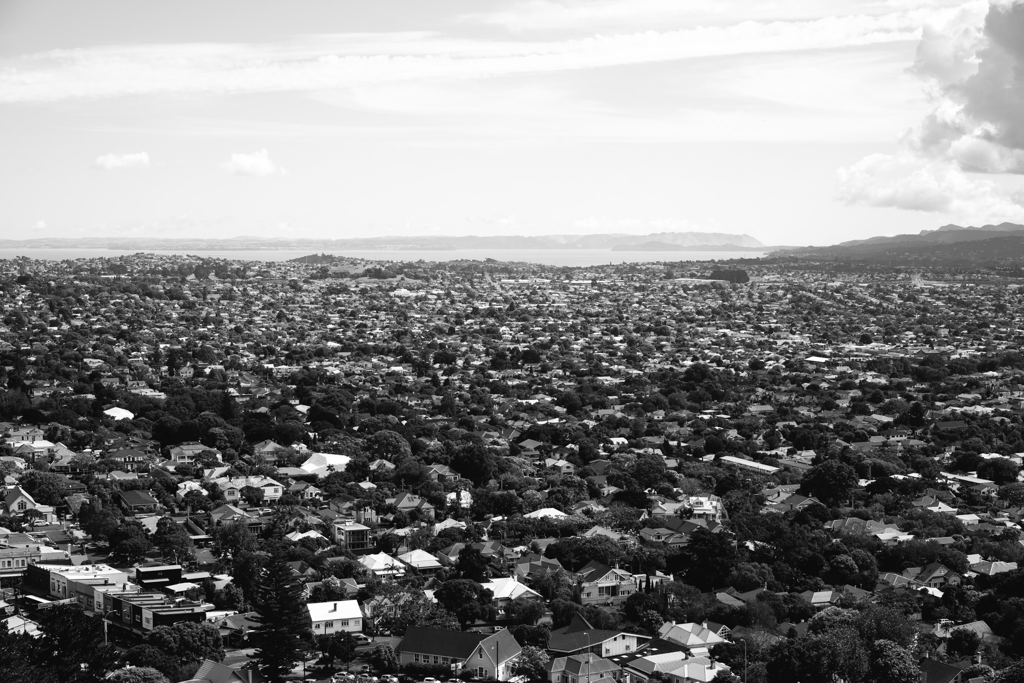 Black and white aerial view of a densely populated suburban area with houses and trees, and a body of water in the distance.