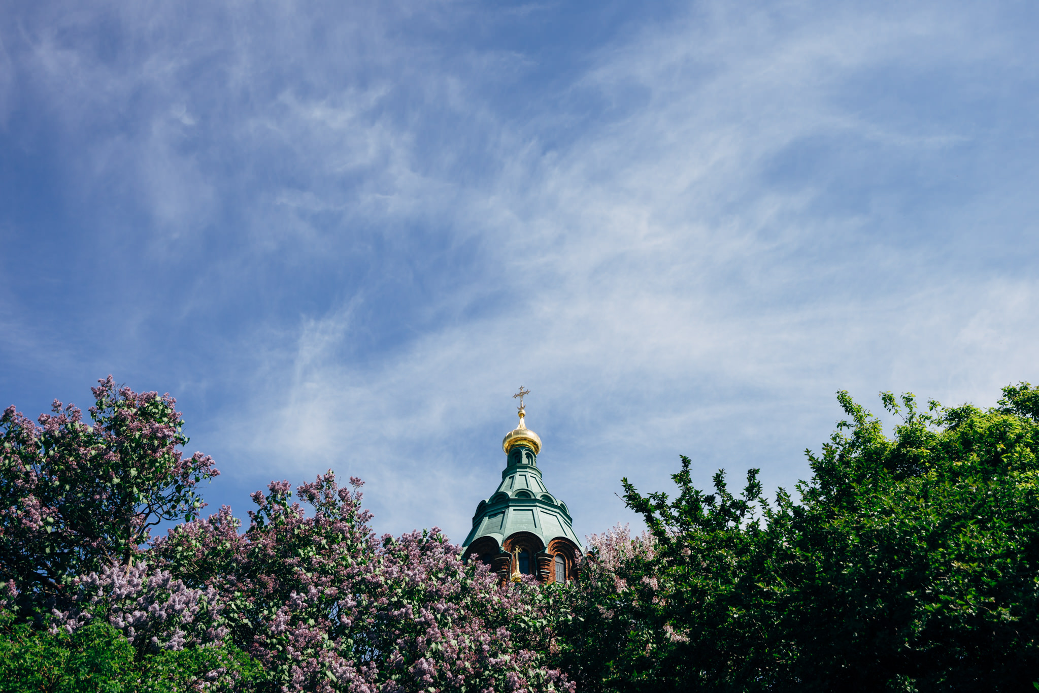 Uspenski Cathedral dome in Helsinki, partially obscured by blooming lilac trees against a blue sky.