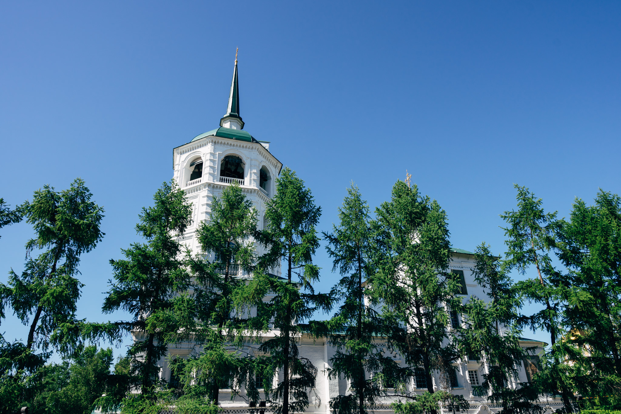 White church tower with green roof, partially obscured by evergreens, against a clear blue sky.