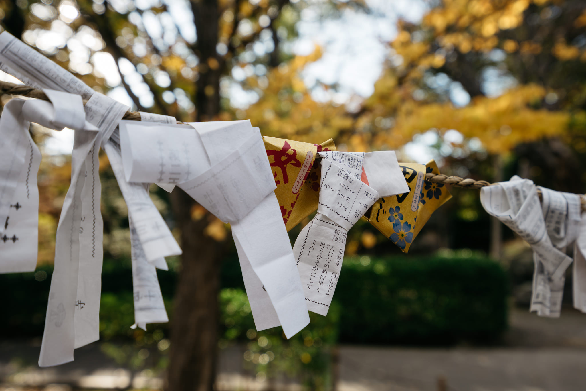 Ema and prayer strips tied to a rope at Zenko-ji Temple.