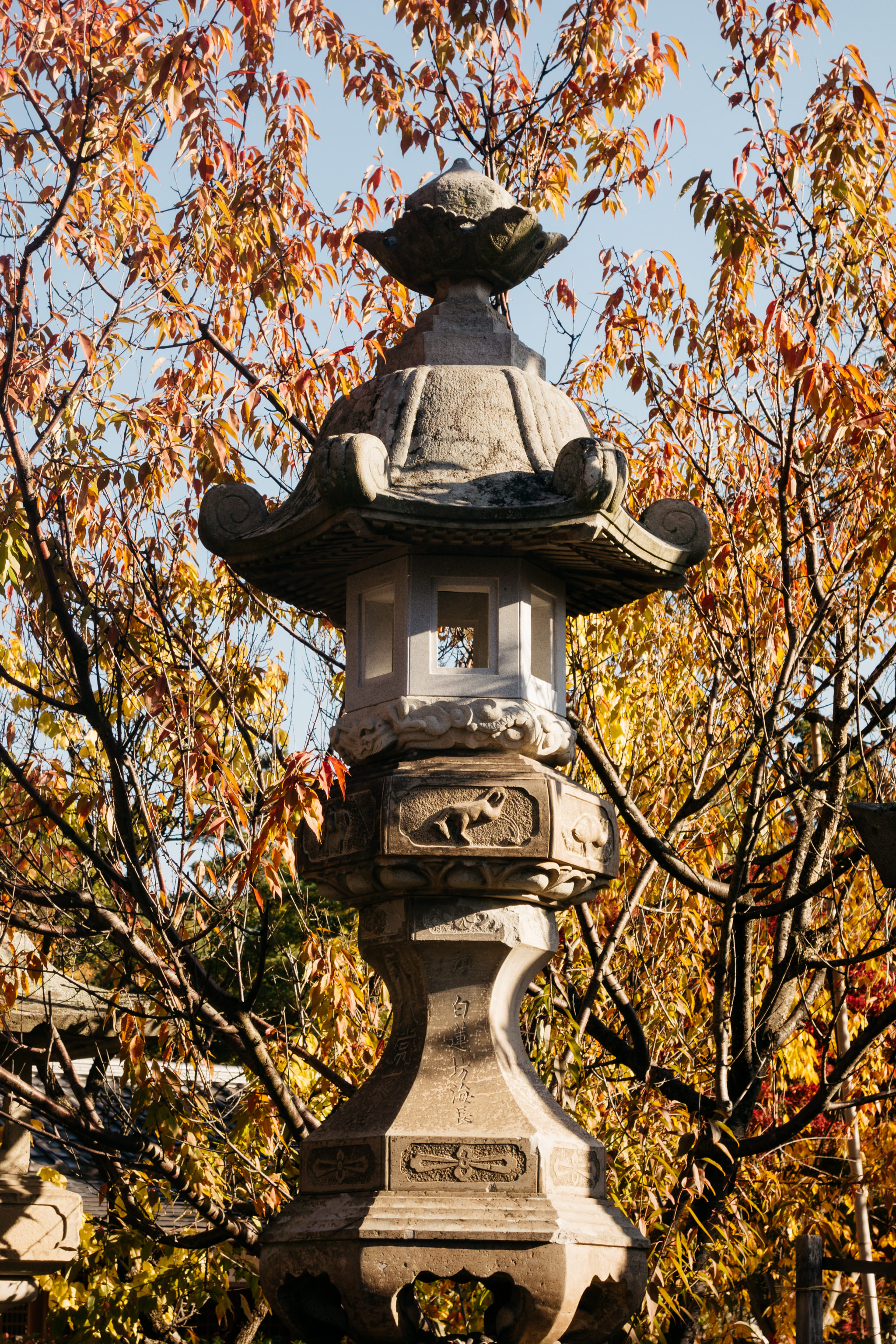 Stone lantern in autumnal garden.
