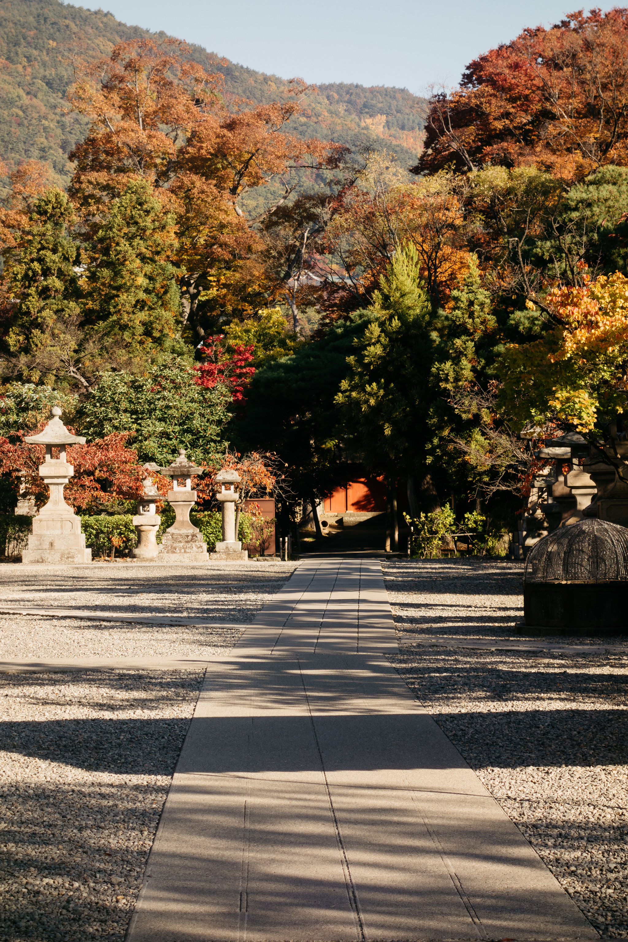 Path through Zenko-ji Temple garden in autumn, stone lanterns and colorful trees.