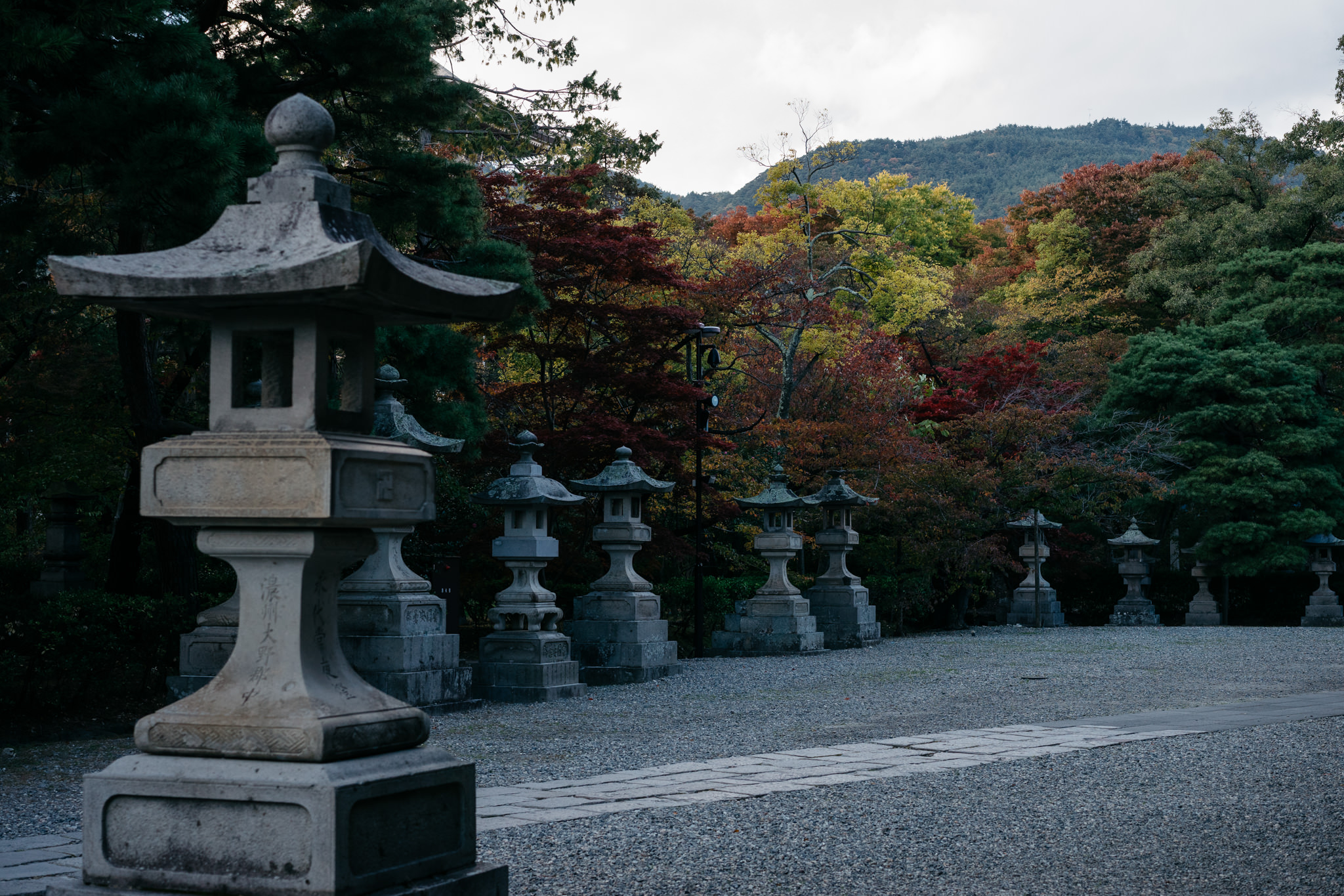 Stone lanterns line a path in a Japanese garden, with autumn foliage in the background.