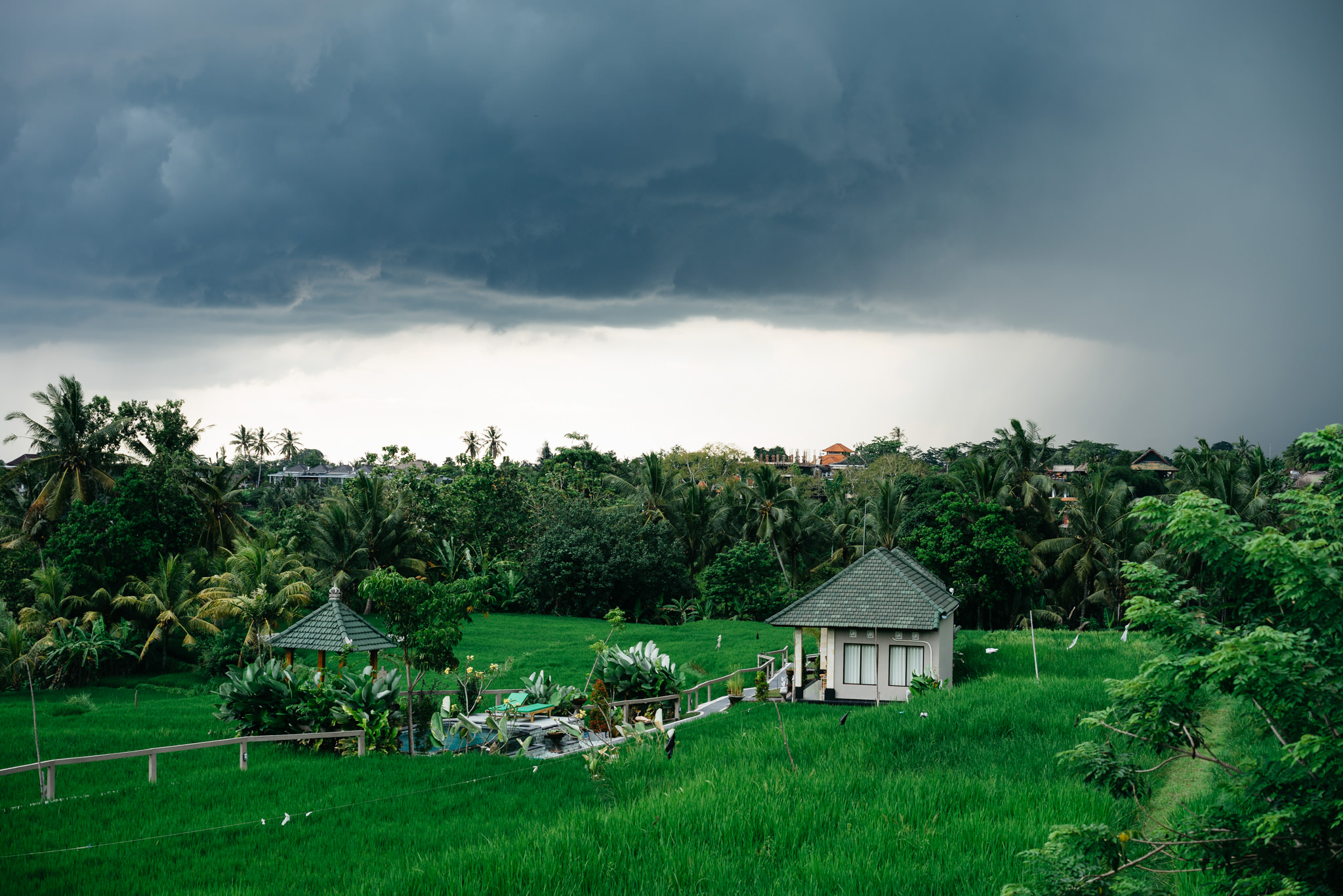 Balinese rice paddy with small buildings under a dark, stormy sky.