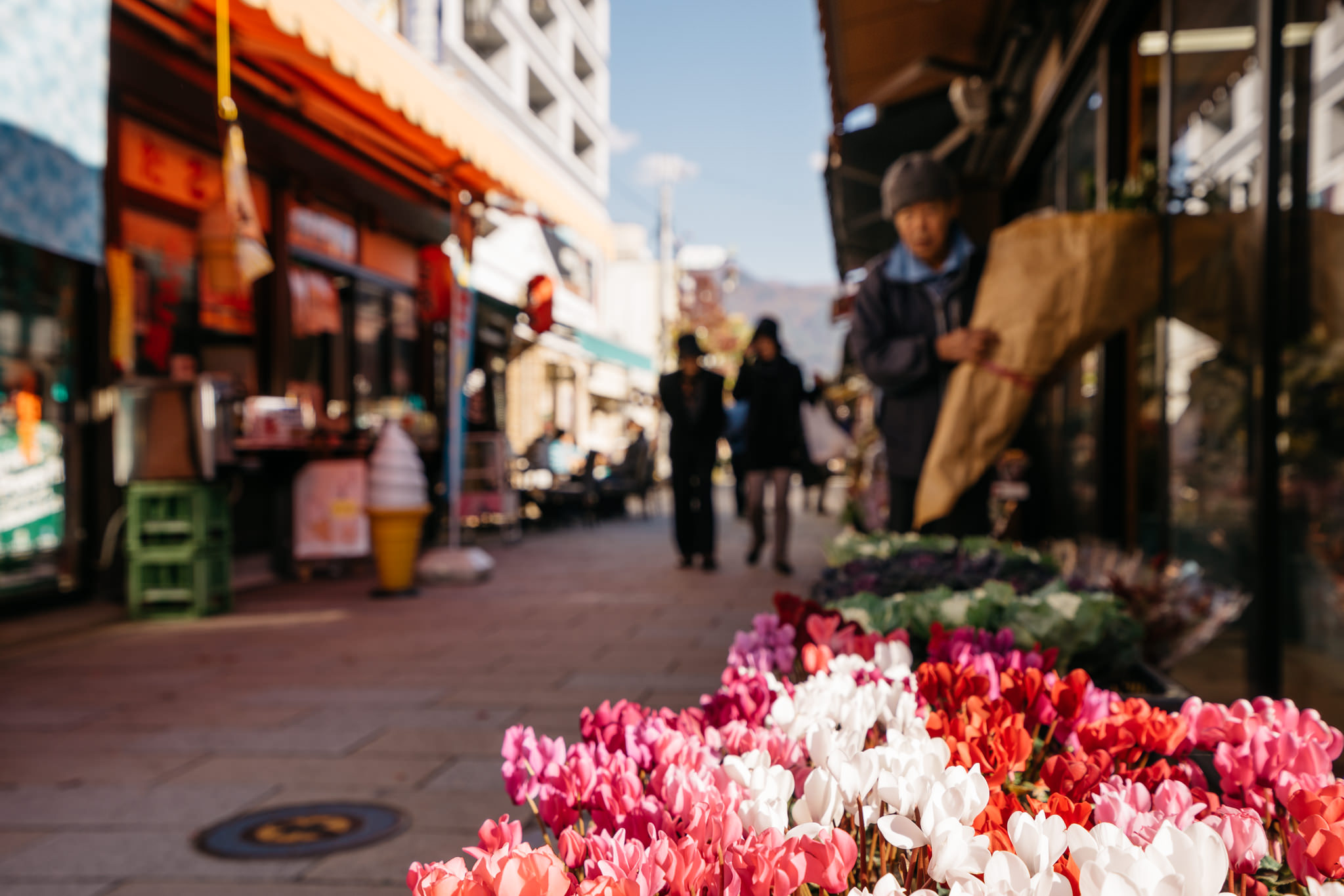 Pink, red, and white cyclamen flowers in foreground, out-of-focus street scene with shops and people in background.
