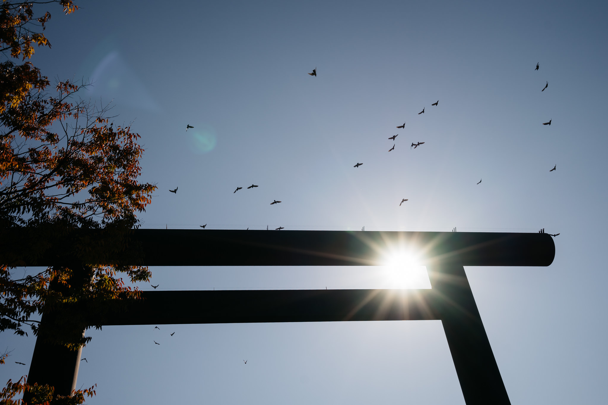 Silhouette of a torii gate with birds flying in the sky, sun shining brightly.