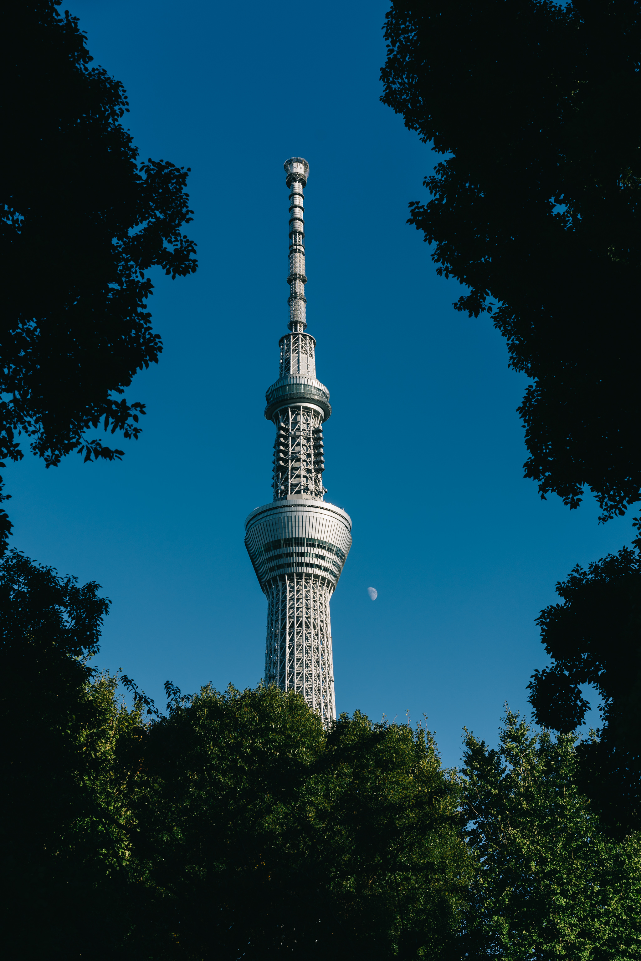 Tokyo Skytree viewed from below through trees against a clear blue sky.