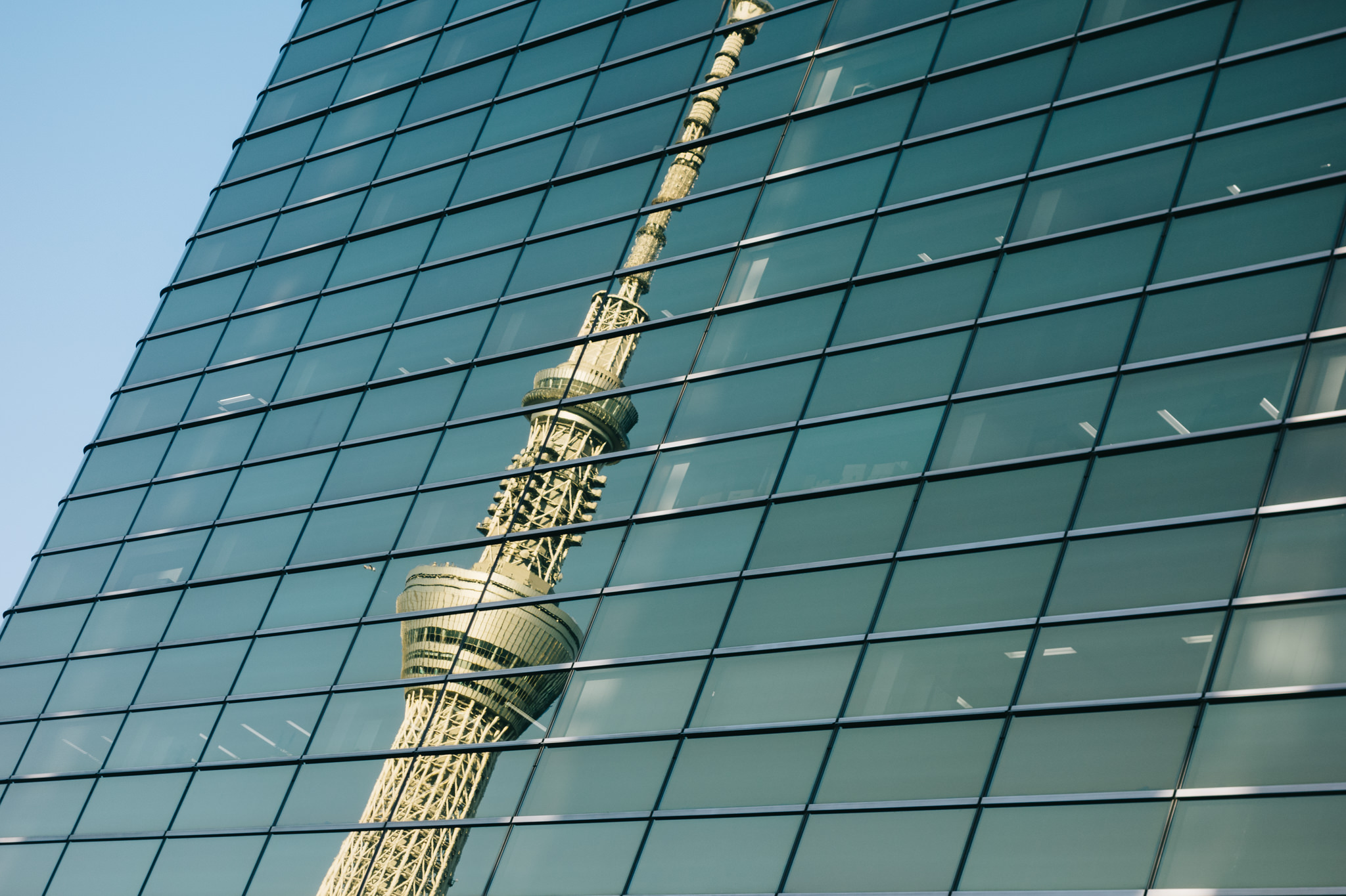 Tokyo Skytree reflected in a modern glass building.