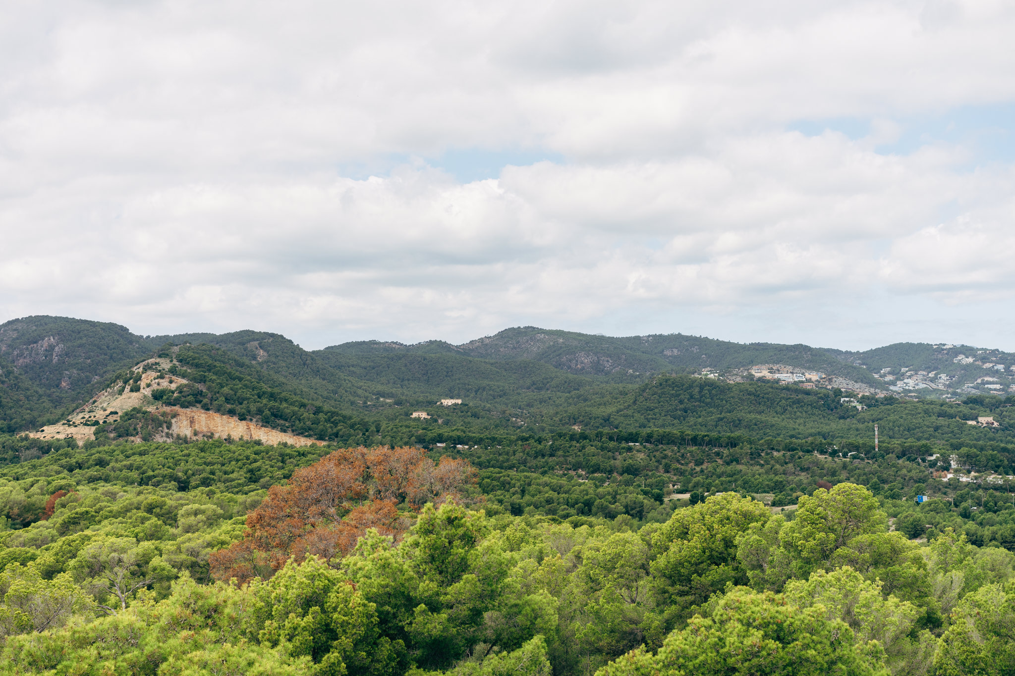 Lush green forest landscape with rolling hills under a cloudy sky.