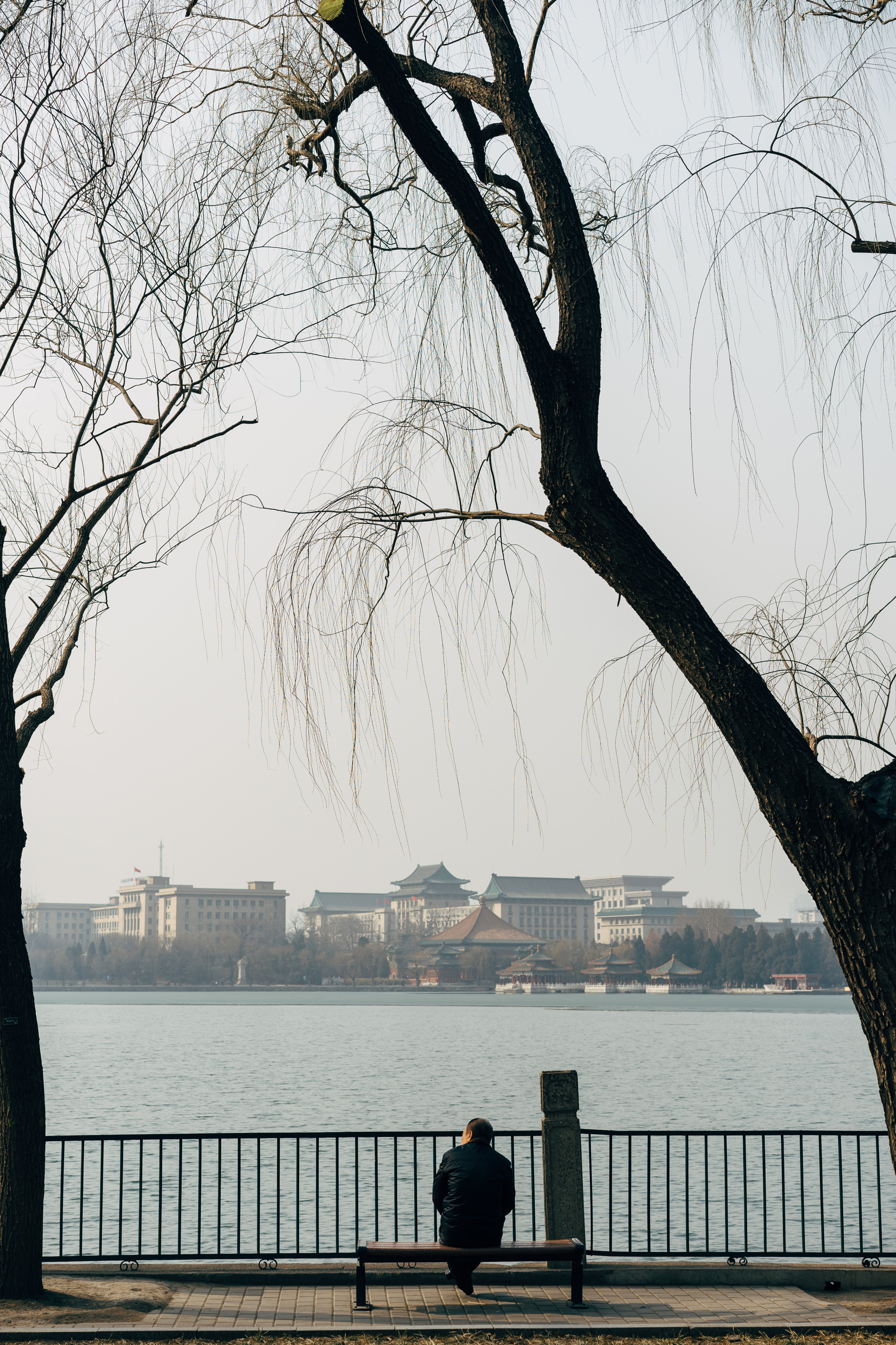 Person sitting on bench overlooking lake and buildings in Beihai Park, Beijing.