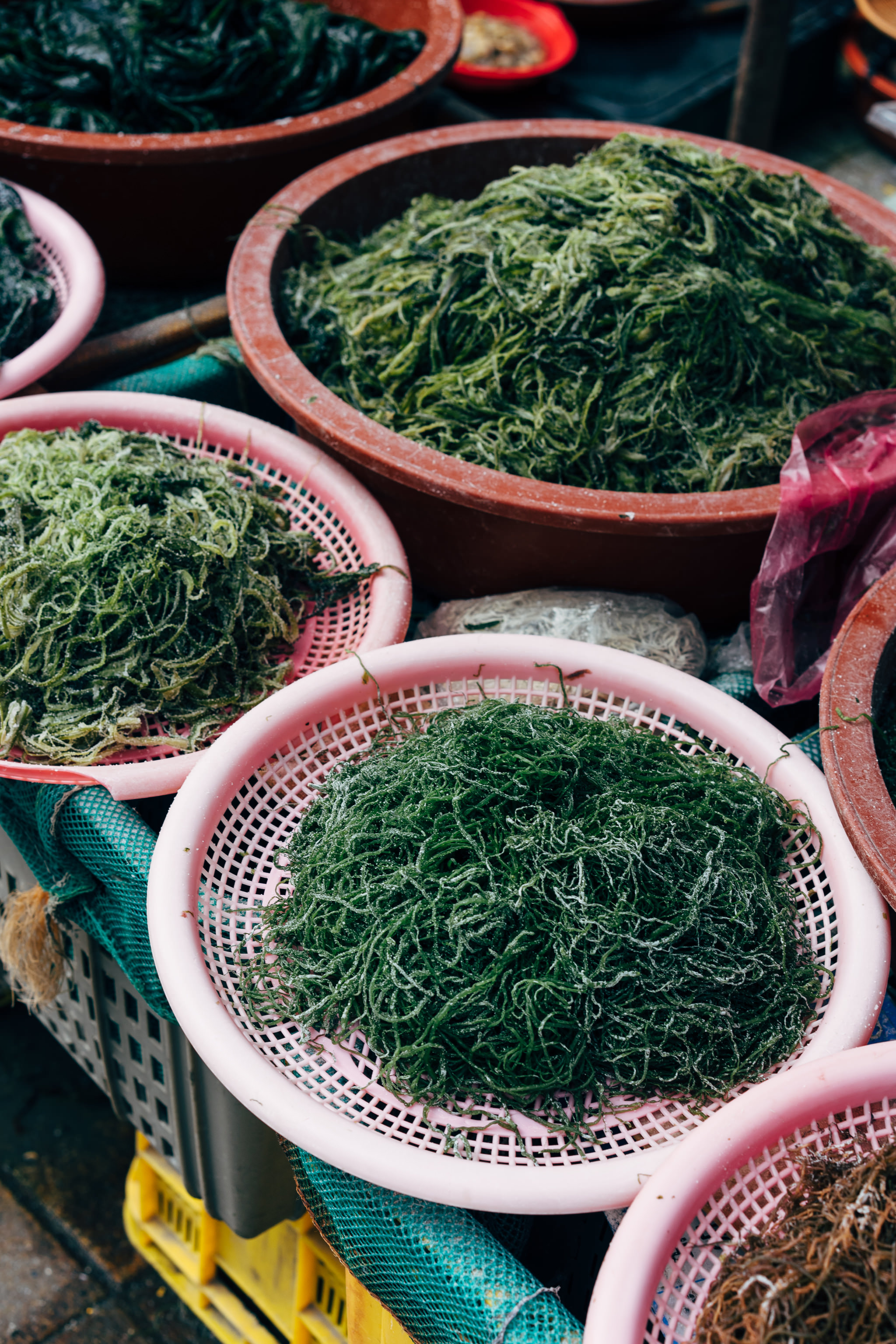 Busan fish market: various types of seaweed in pink and brown baskets.