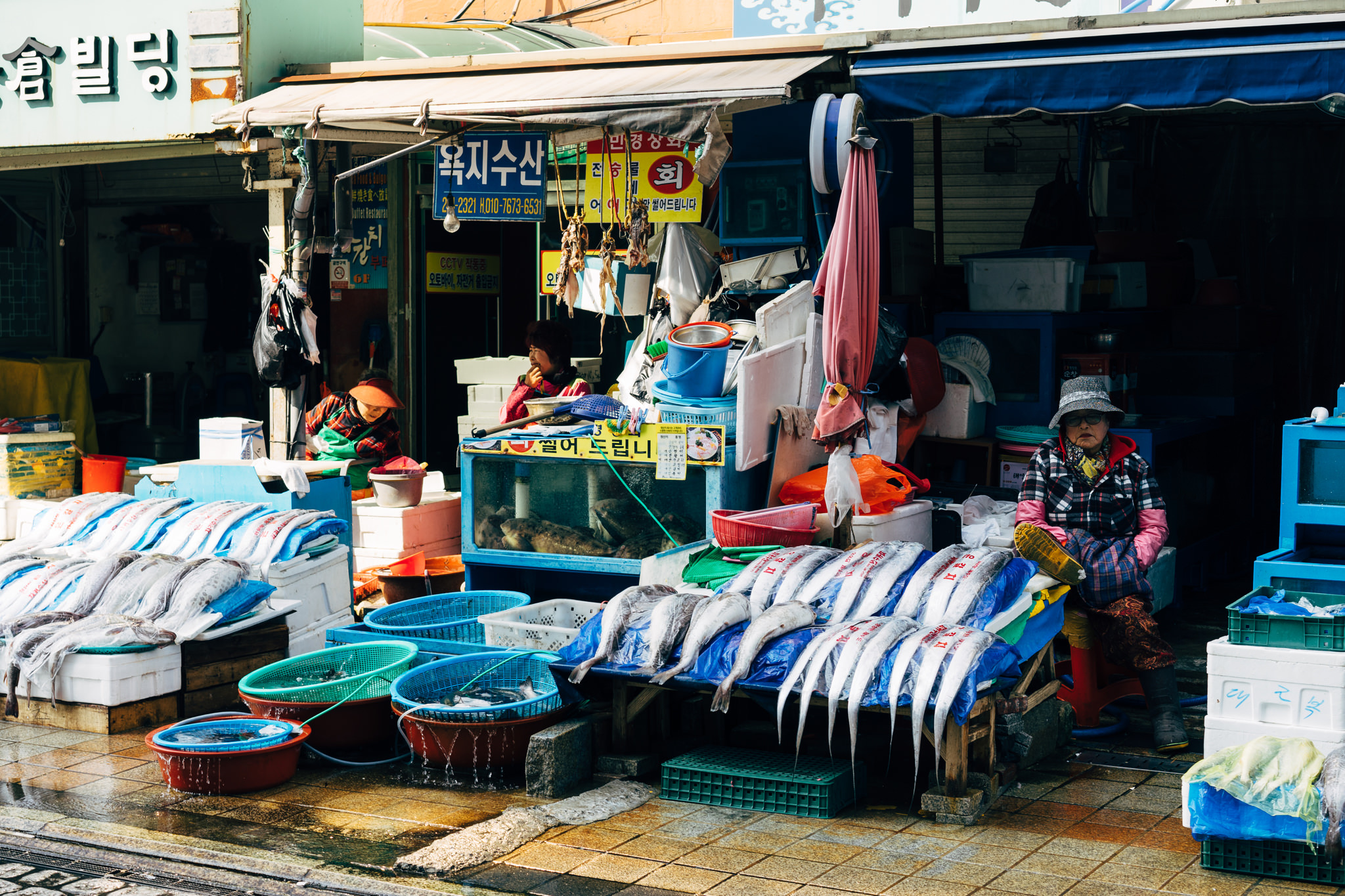 Busan fish market stalls with vendors and fresh fish on display.