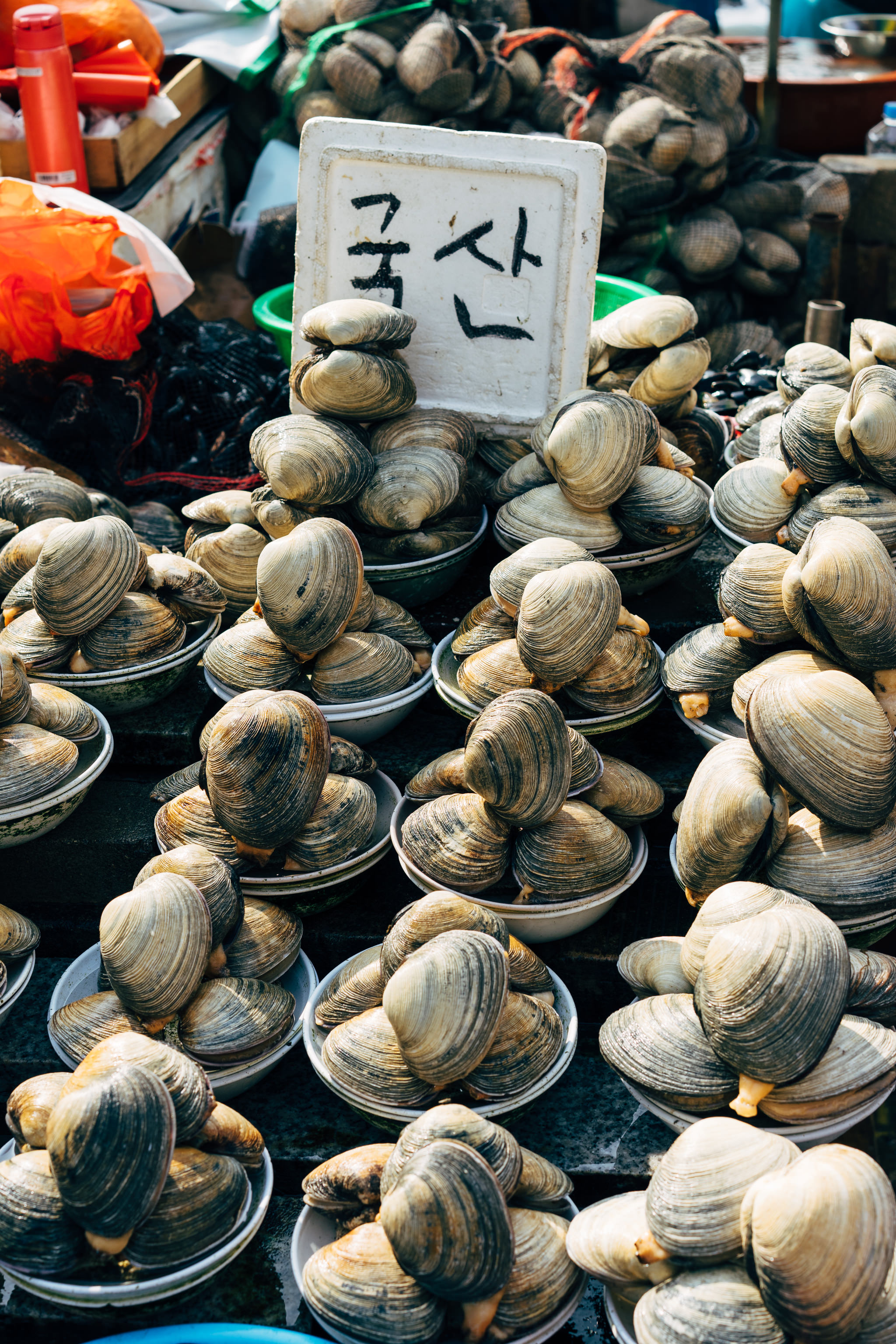 Many clams in bowls at a Busan fish market.
