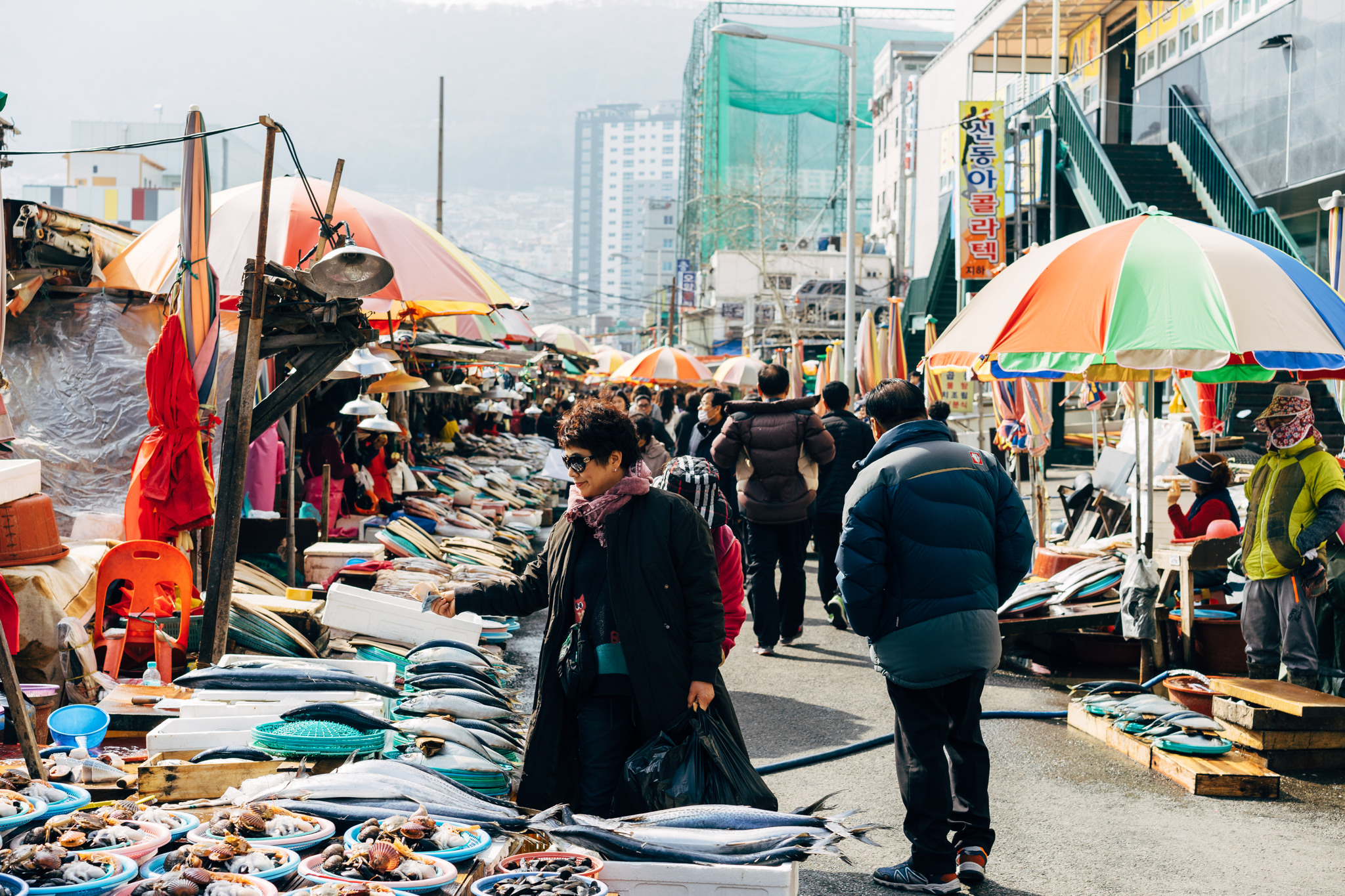 Busan fish market with various seafood on display.