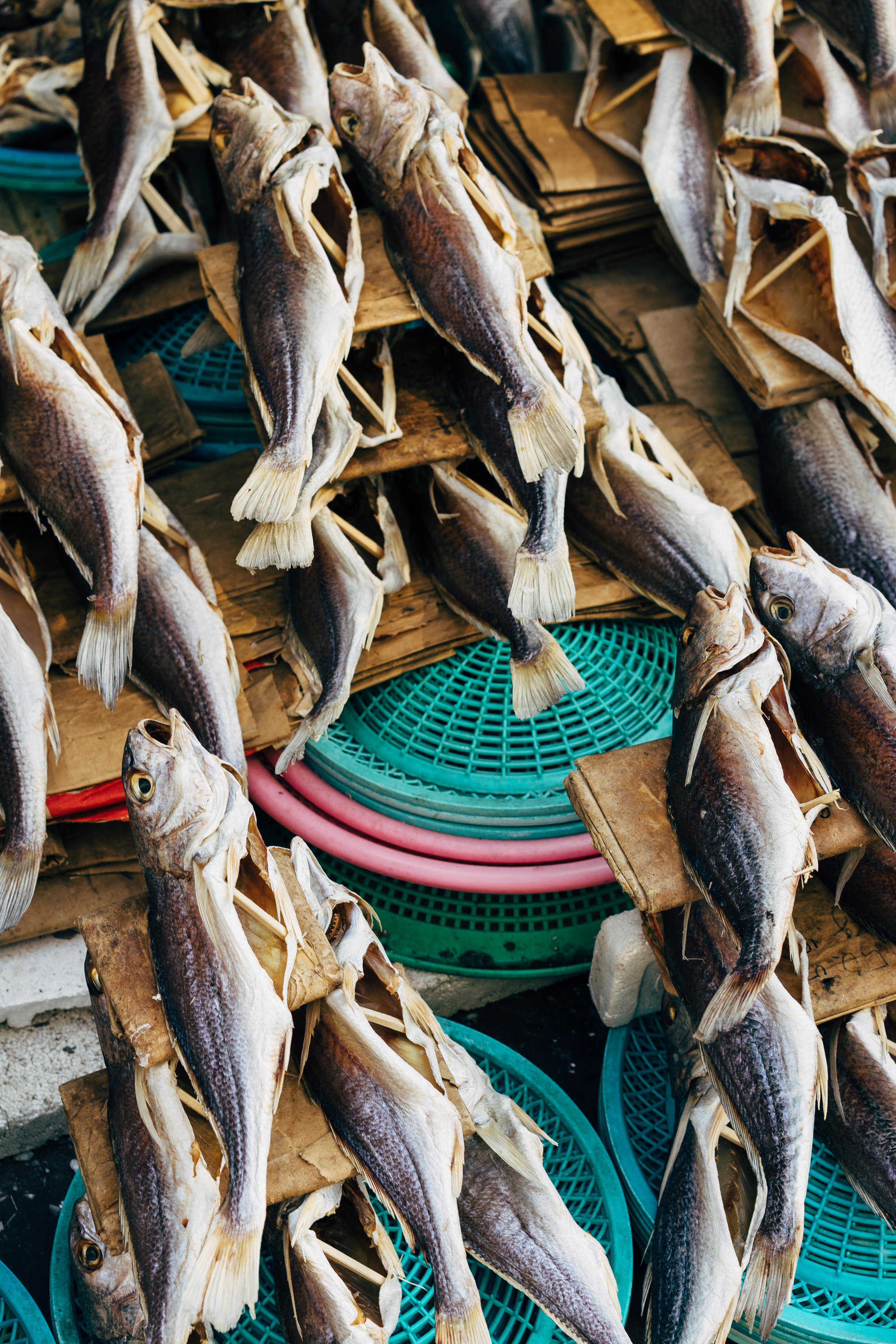 Dried fish on display at Busan Fish Market.