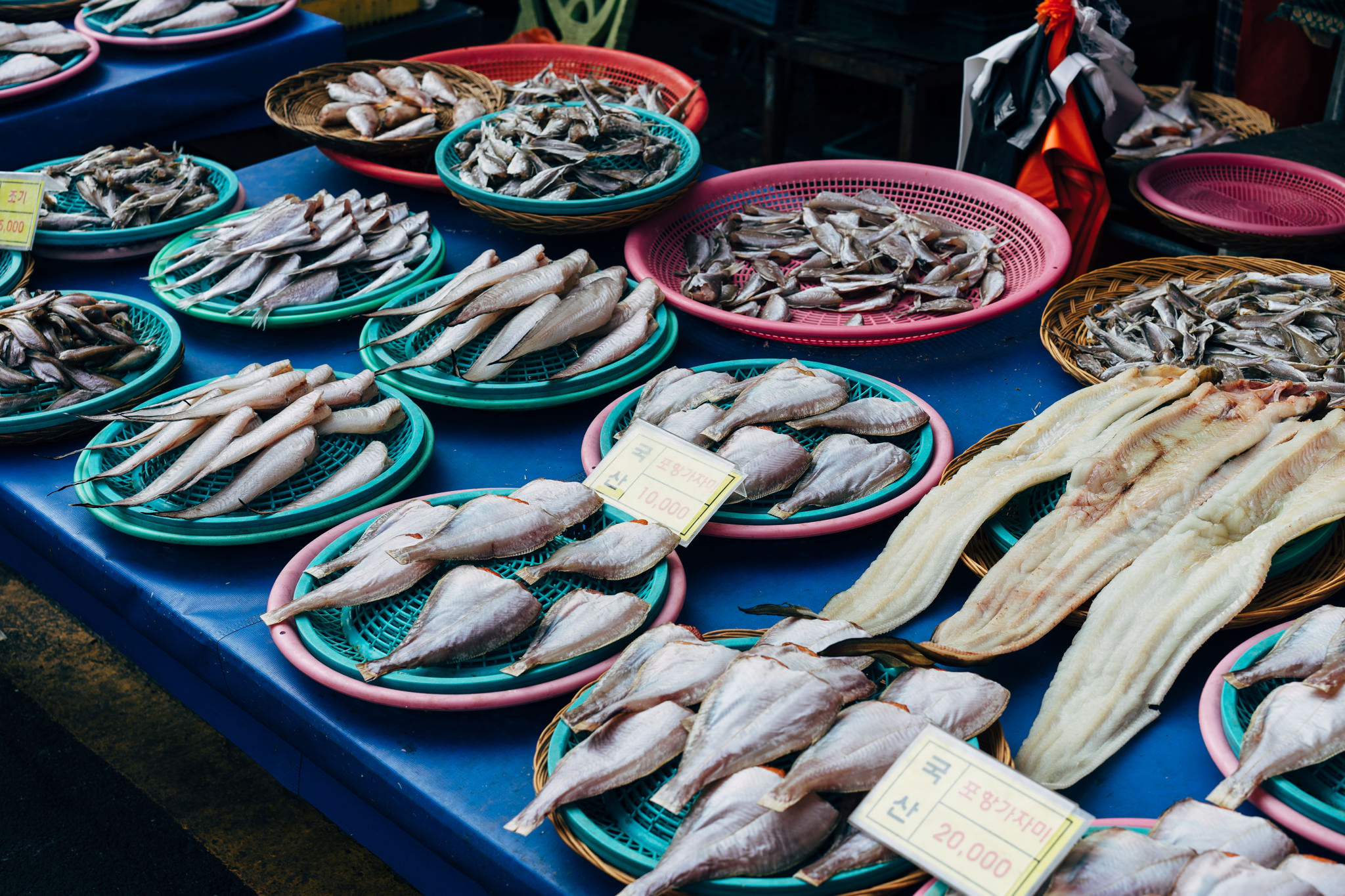 Busan fish market: various dried and fresh fish on display.