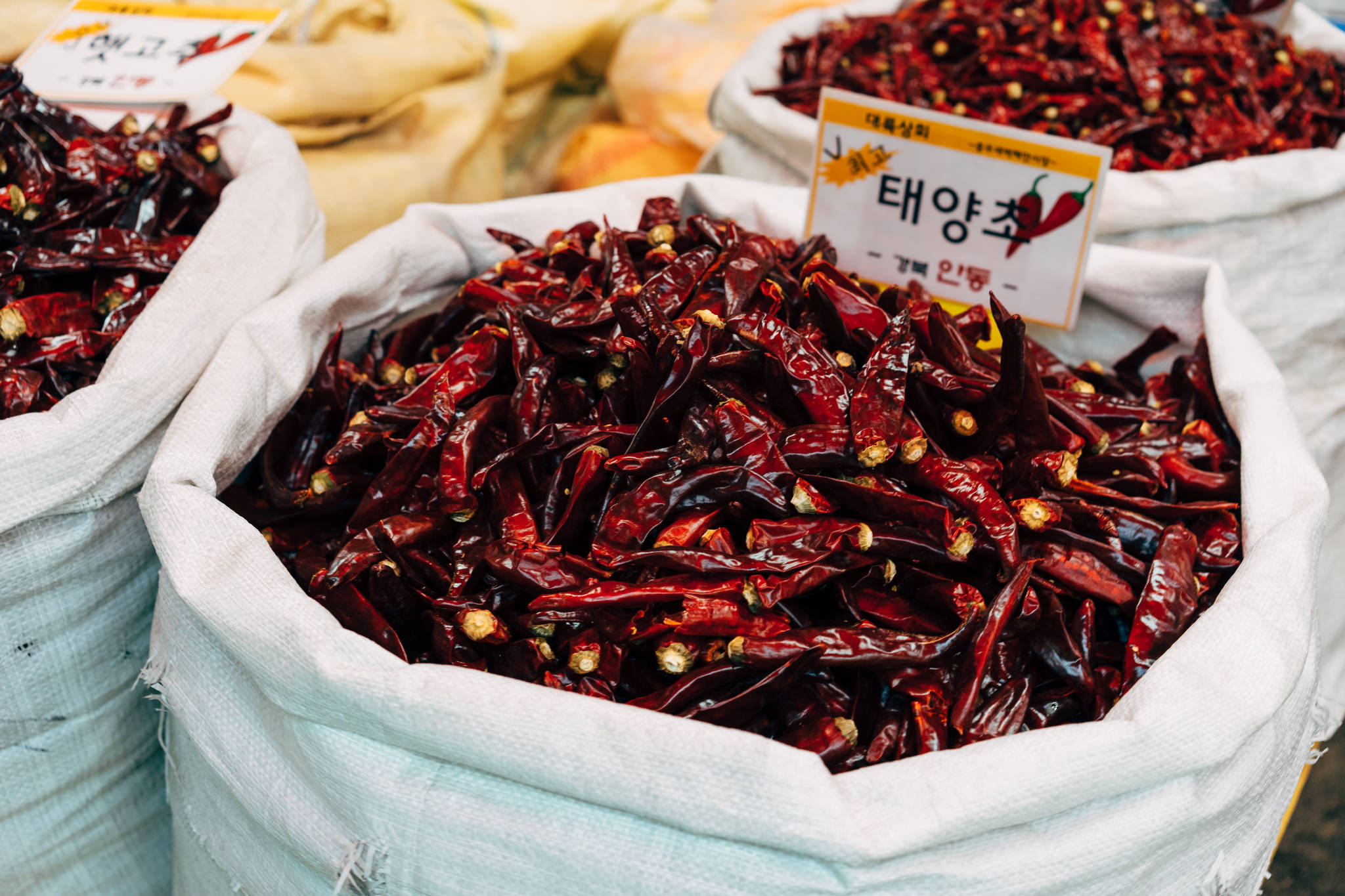 Dried red chilies in white sacks at a Busan market.