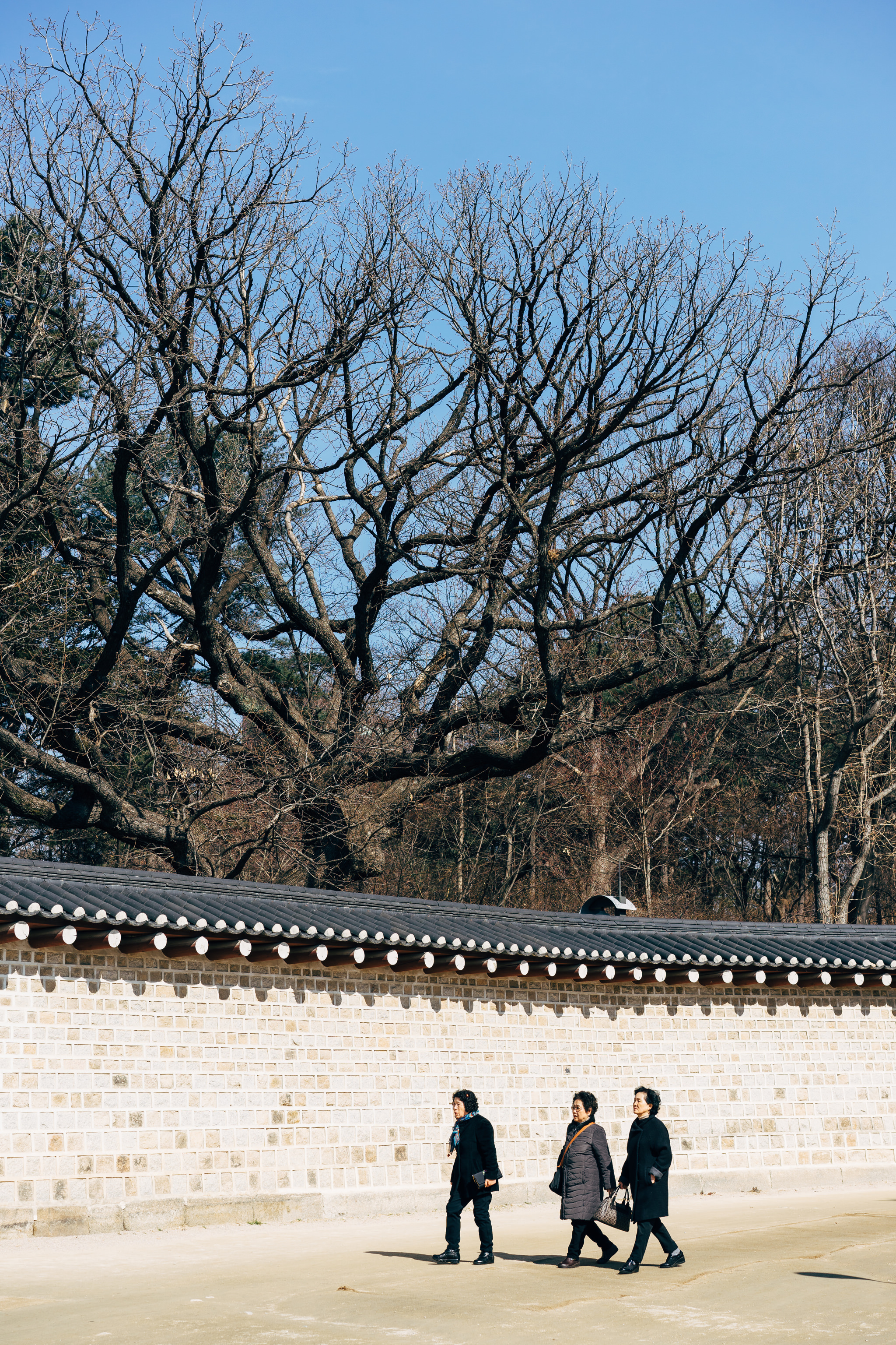 Three women walking in front of a stone wall at Jongmyo Shrine in Seoul.